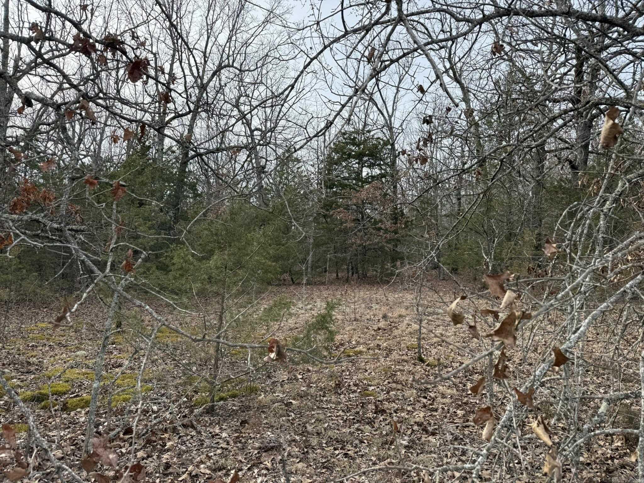 2495 E 74 Highway Property Photo 2