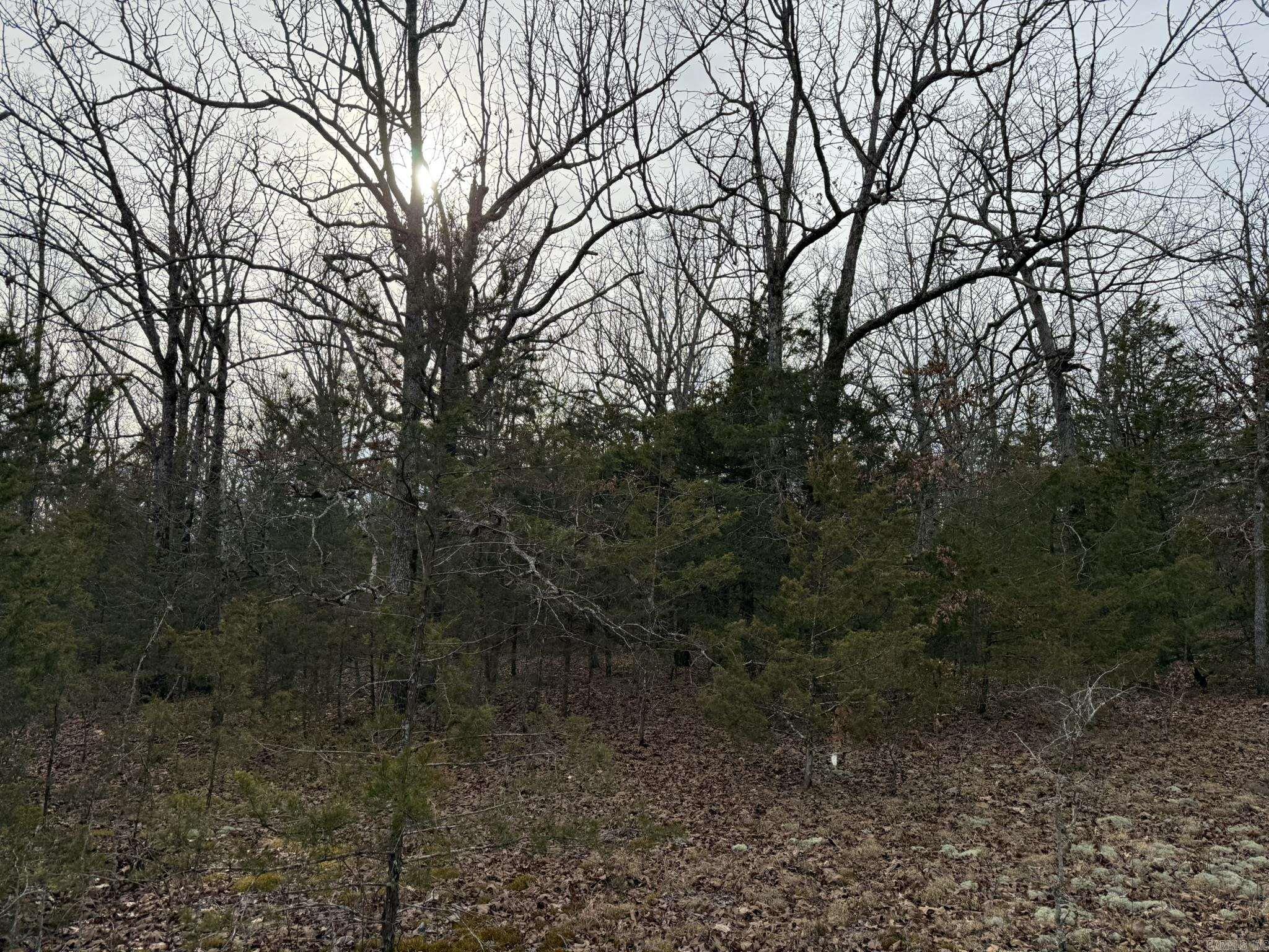 2495 E 74 Highway Property Photo 3