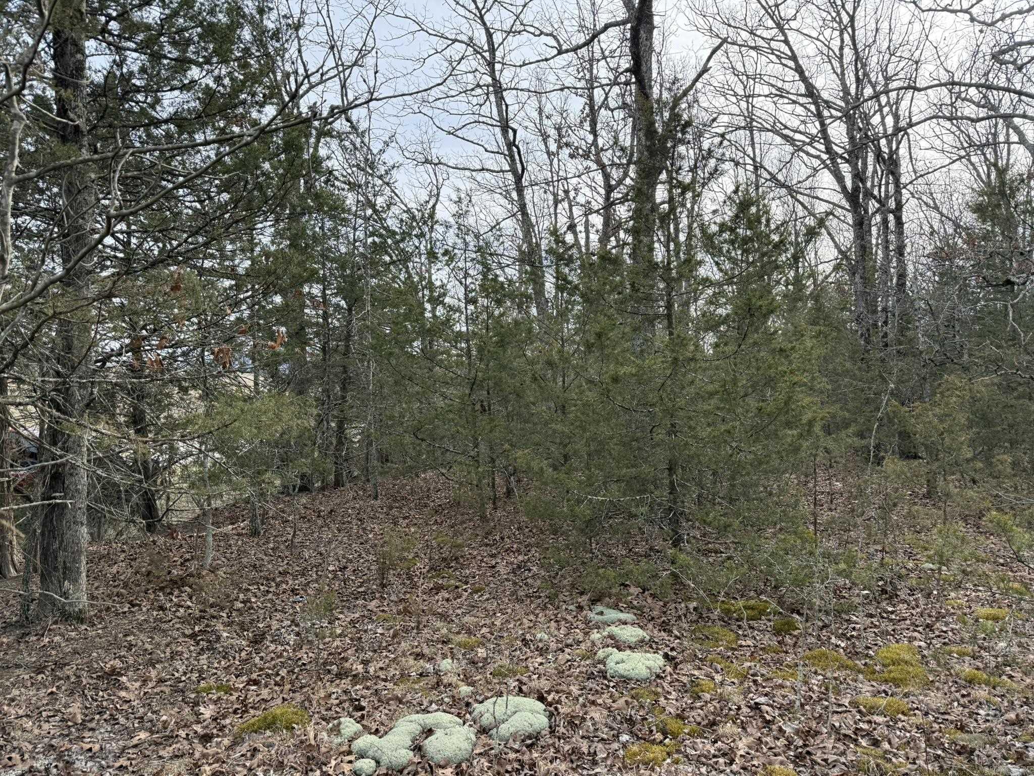 2495 E 74 Highway Property Photo 4