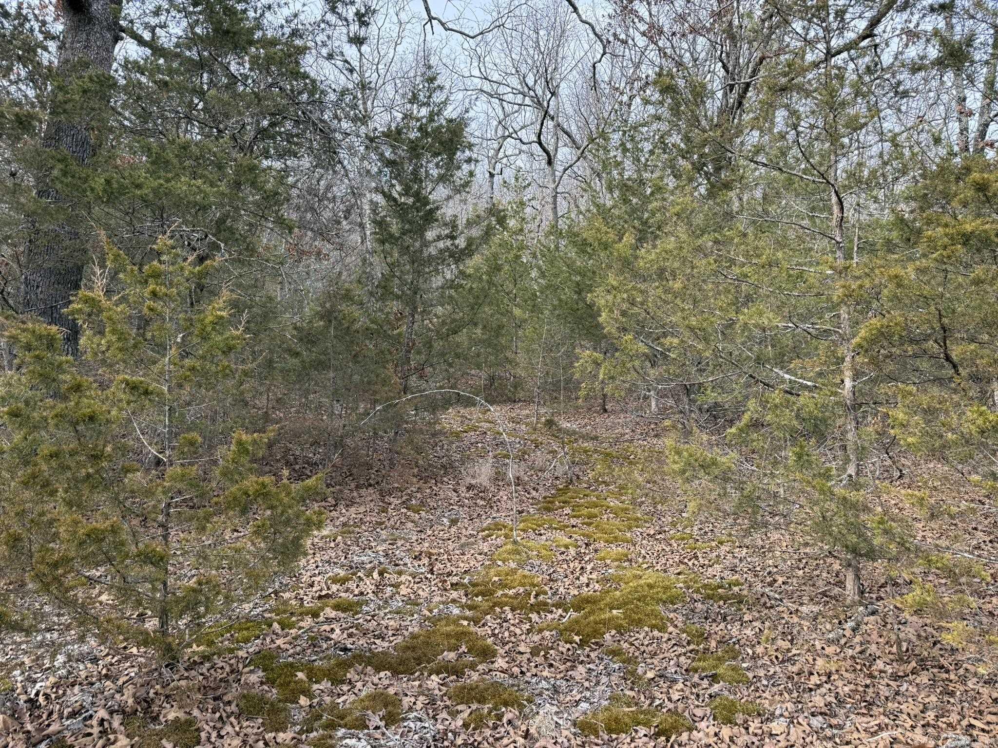 2495 E 74 Highway Property Photo 5