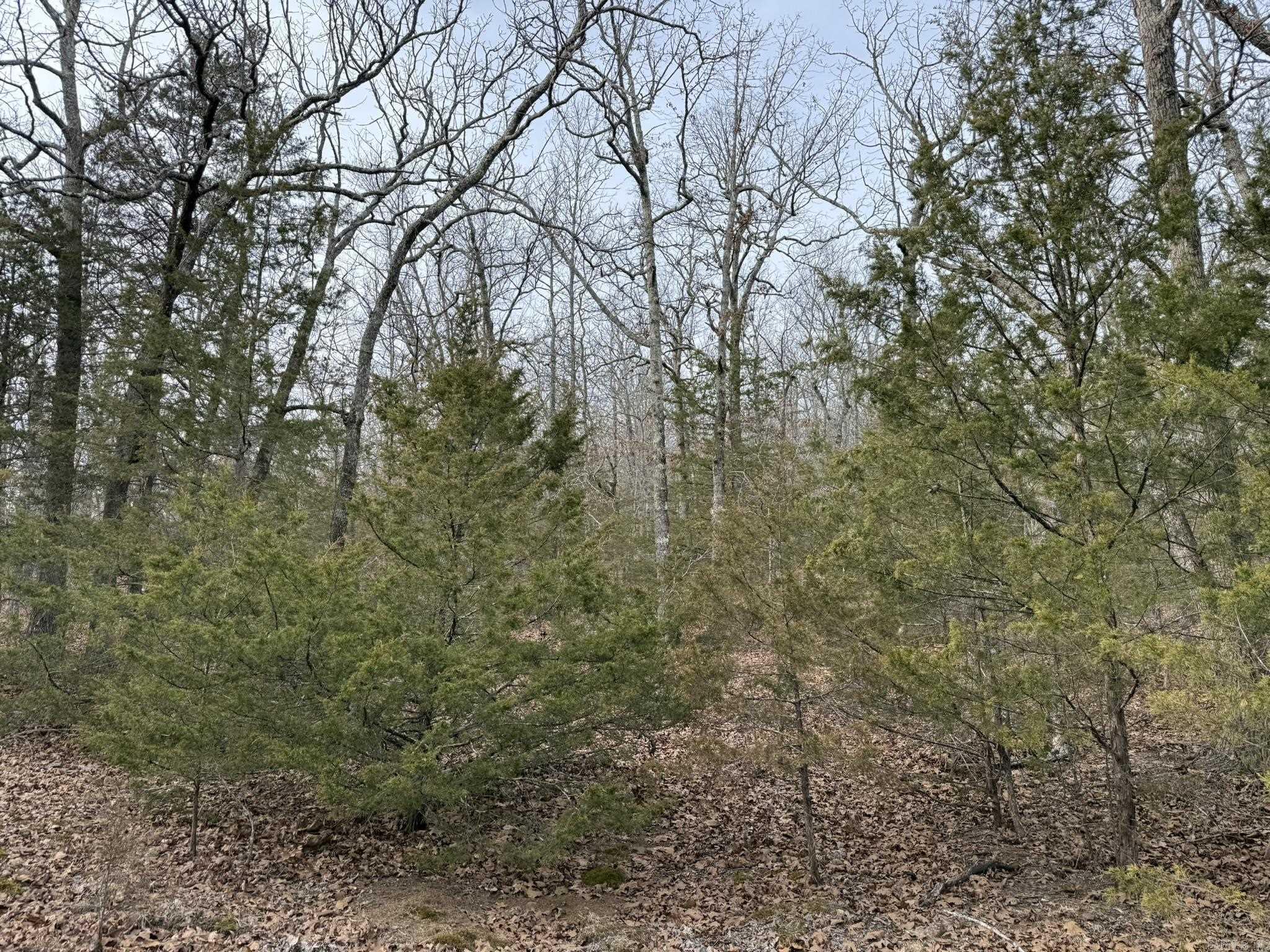 2495 E 74 Highway Property Photo 7