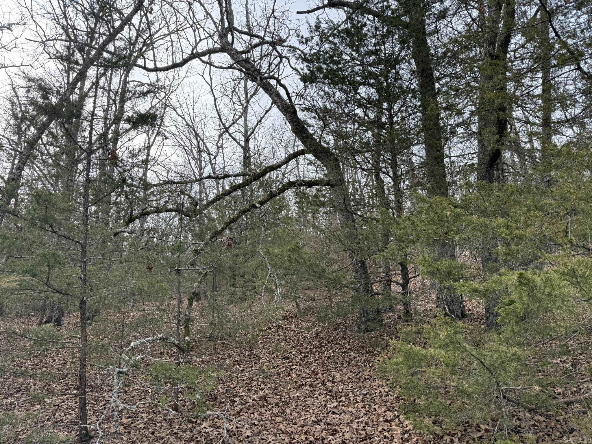 2495 E 74 Highway Property Photo 8