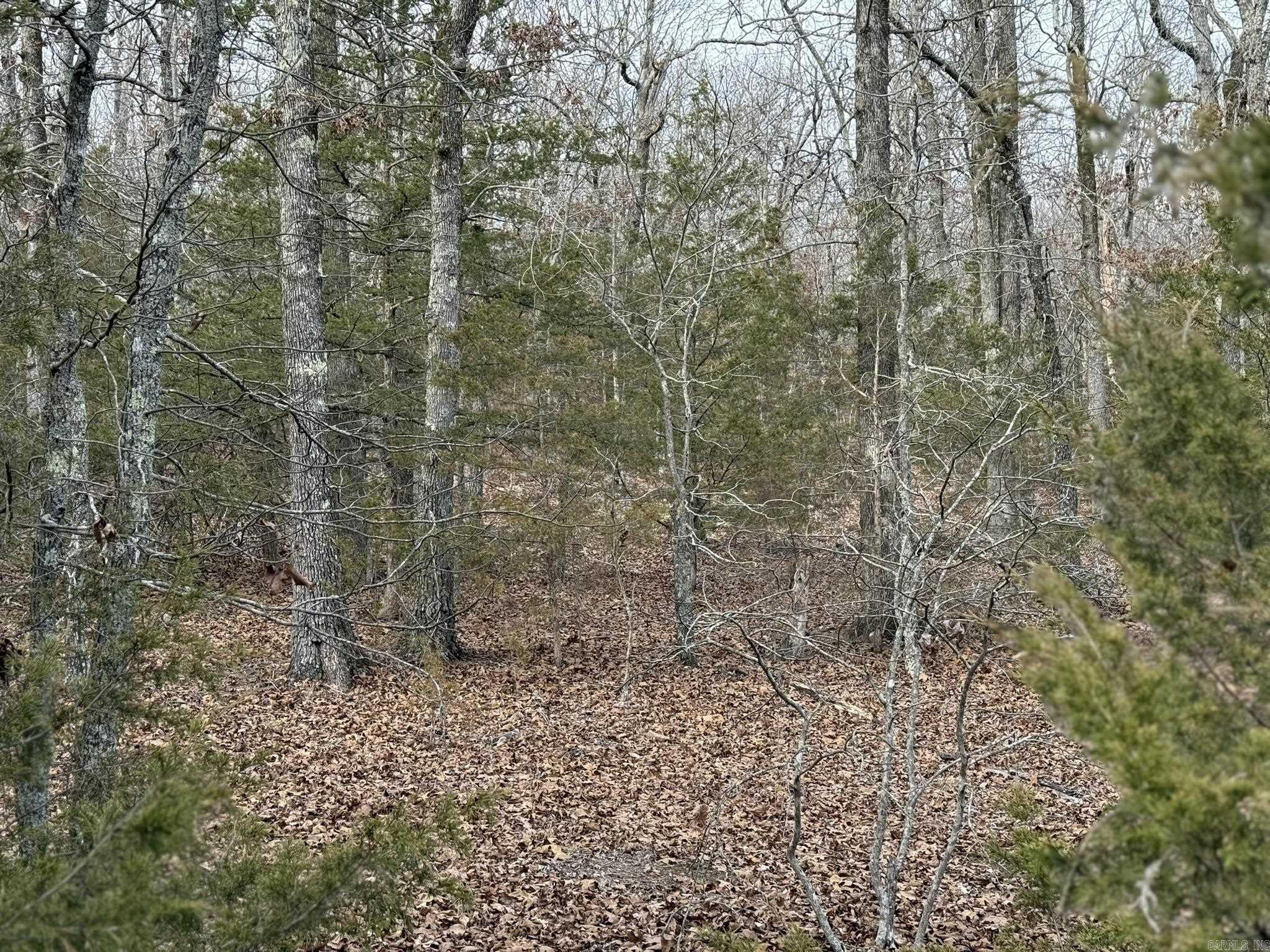 2495 E 74 Highway Property Photo 9