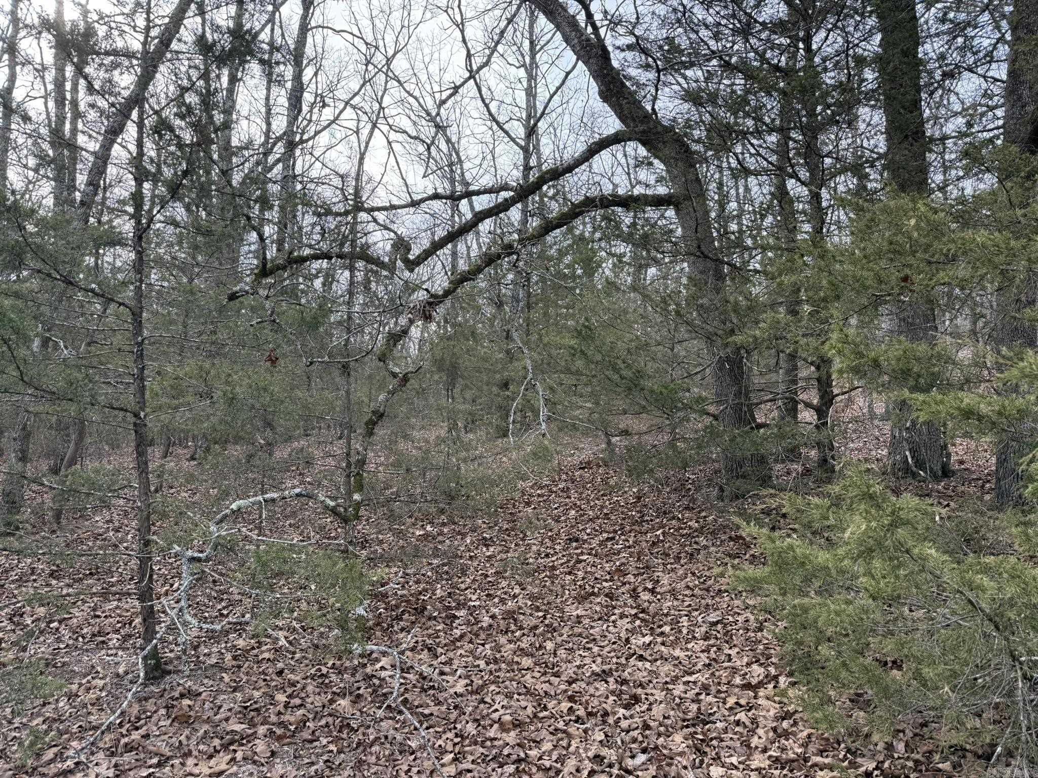 2495 E 74 Highway Property Photo 10