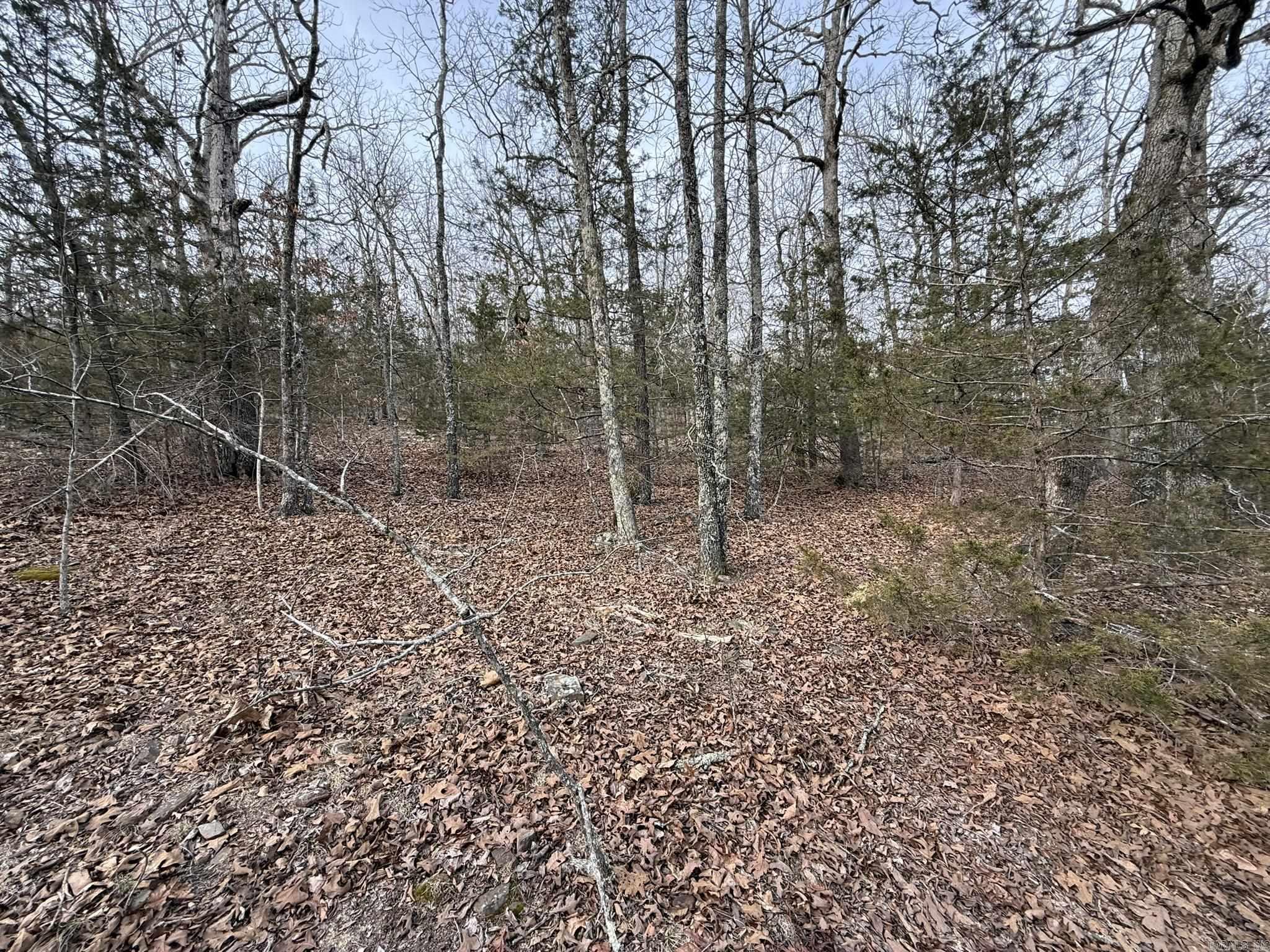 2495 E 74 Highway Property Photo 13