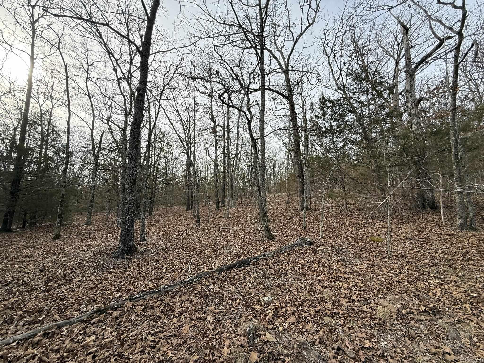 2495 E 74 Highway Property Photo 14