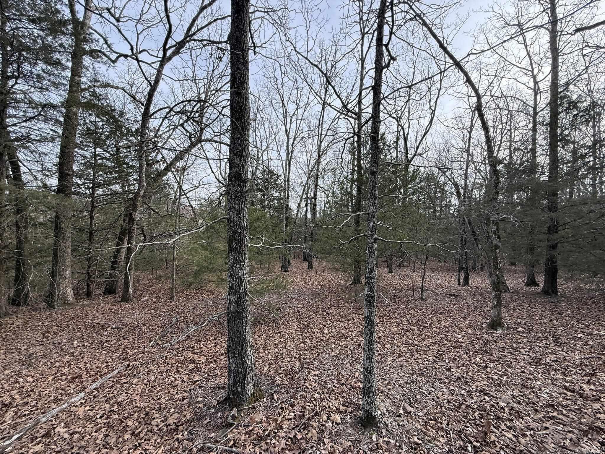 2495 E 74 Highway Property Photo 15