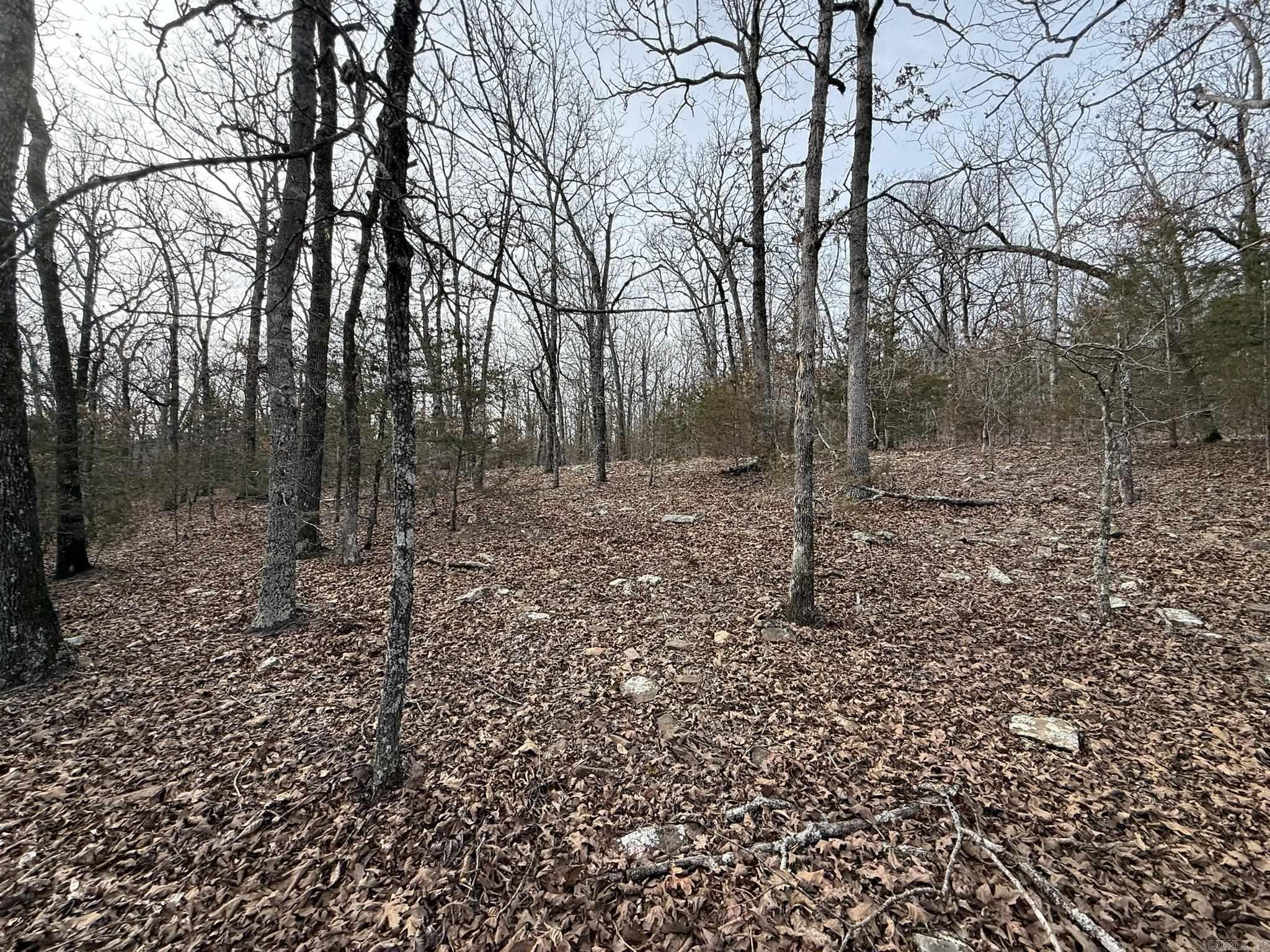 2495 E 74 Highway Property Photo 16