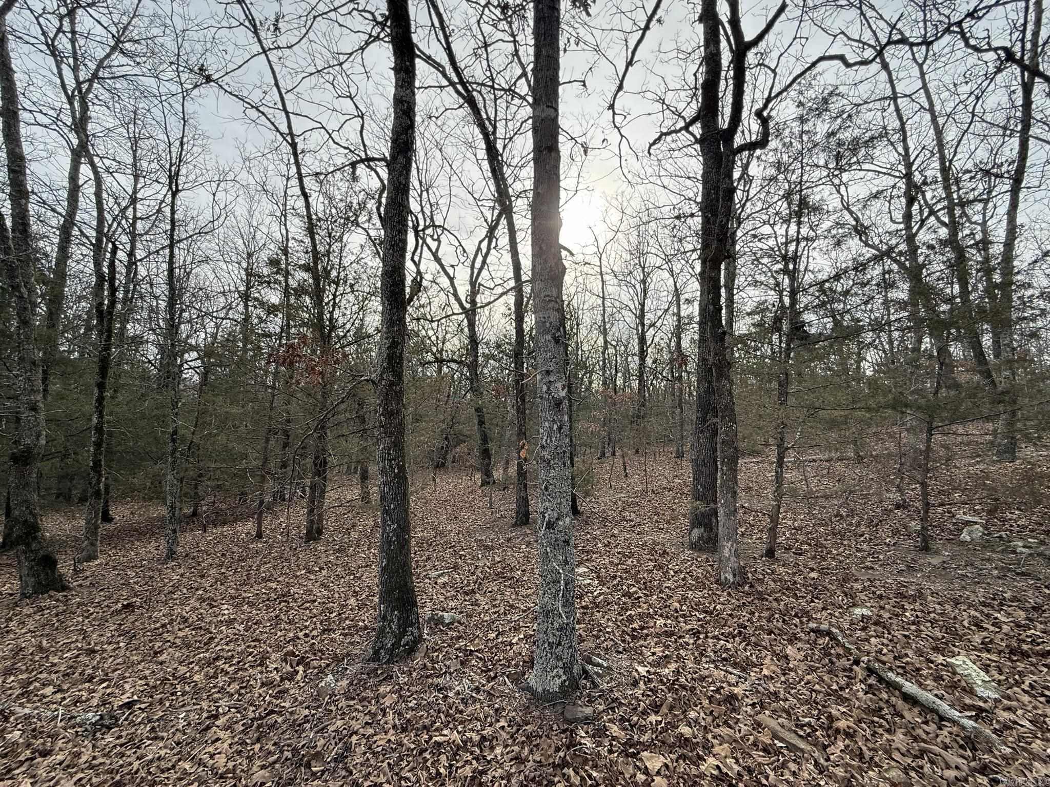 2495 E 74 Highway Property Photo 17