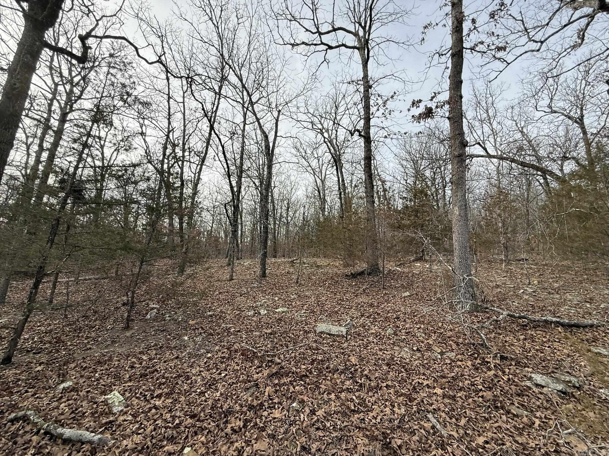 2495 E 74 Highway Property Photo 18