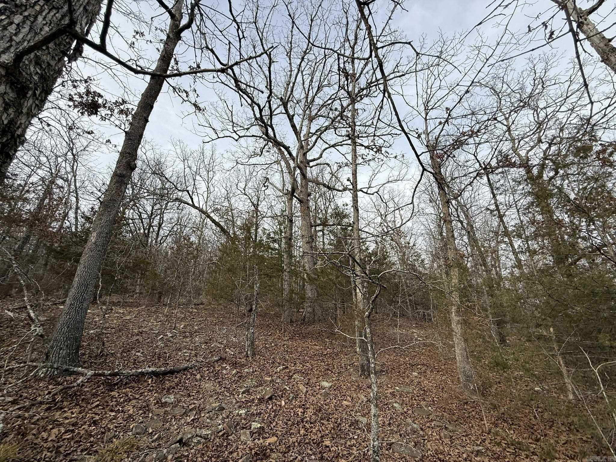 2495 E 74 Highway Property Photo 19