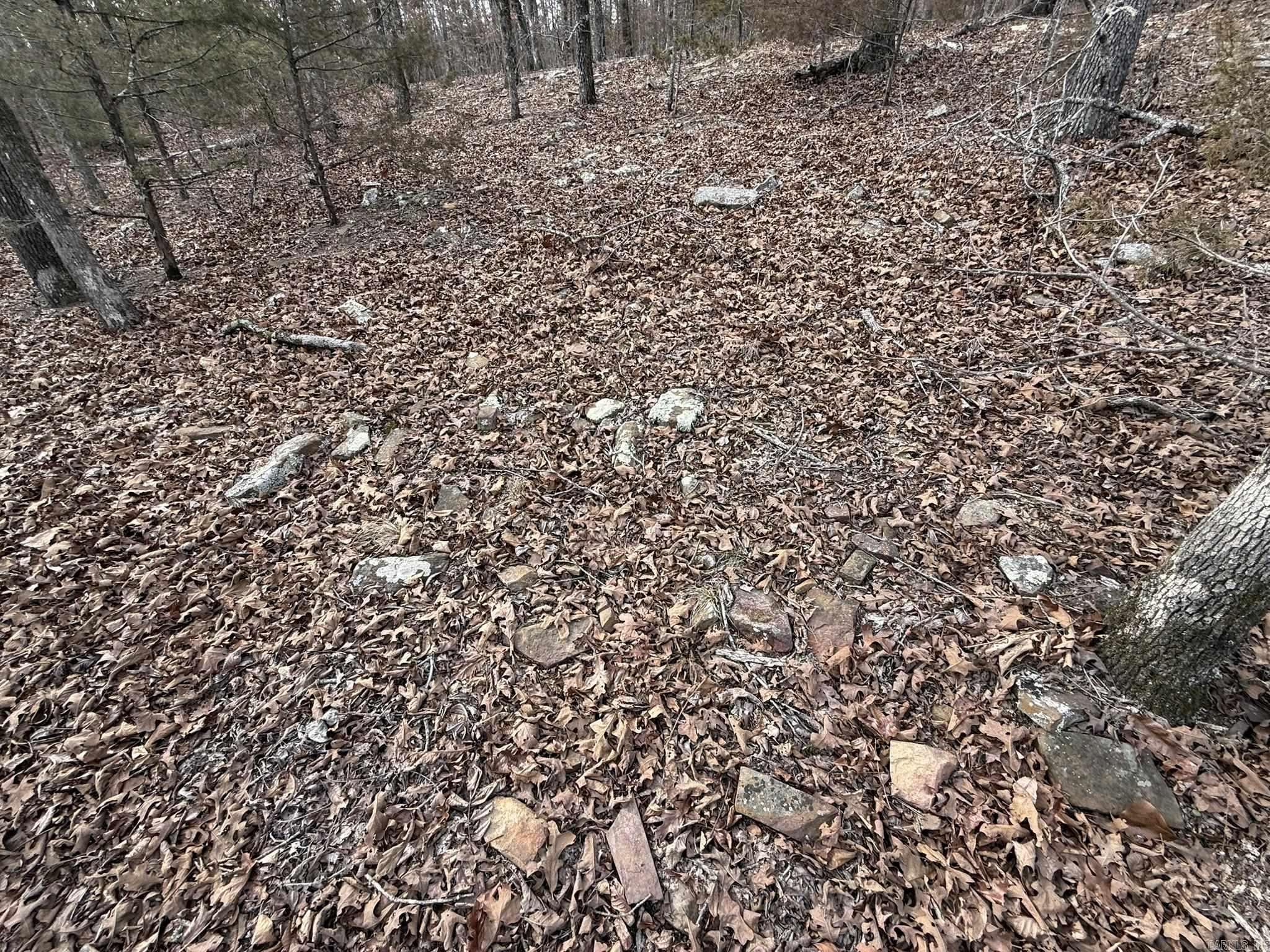 2495 E 74 Highway Property Photo 20