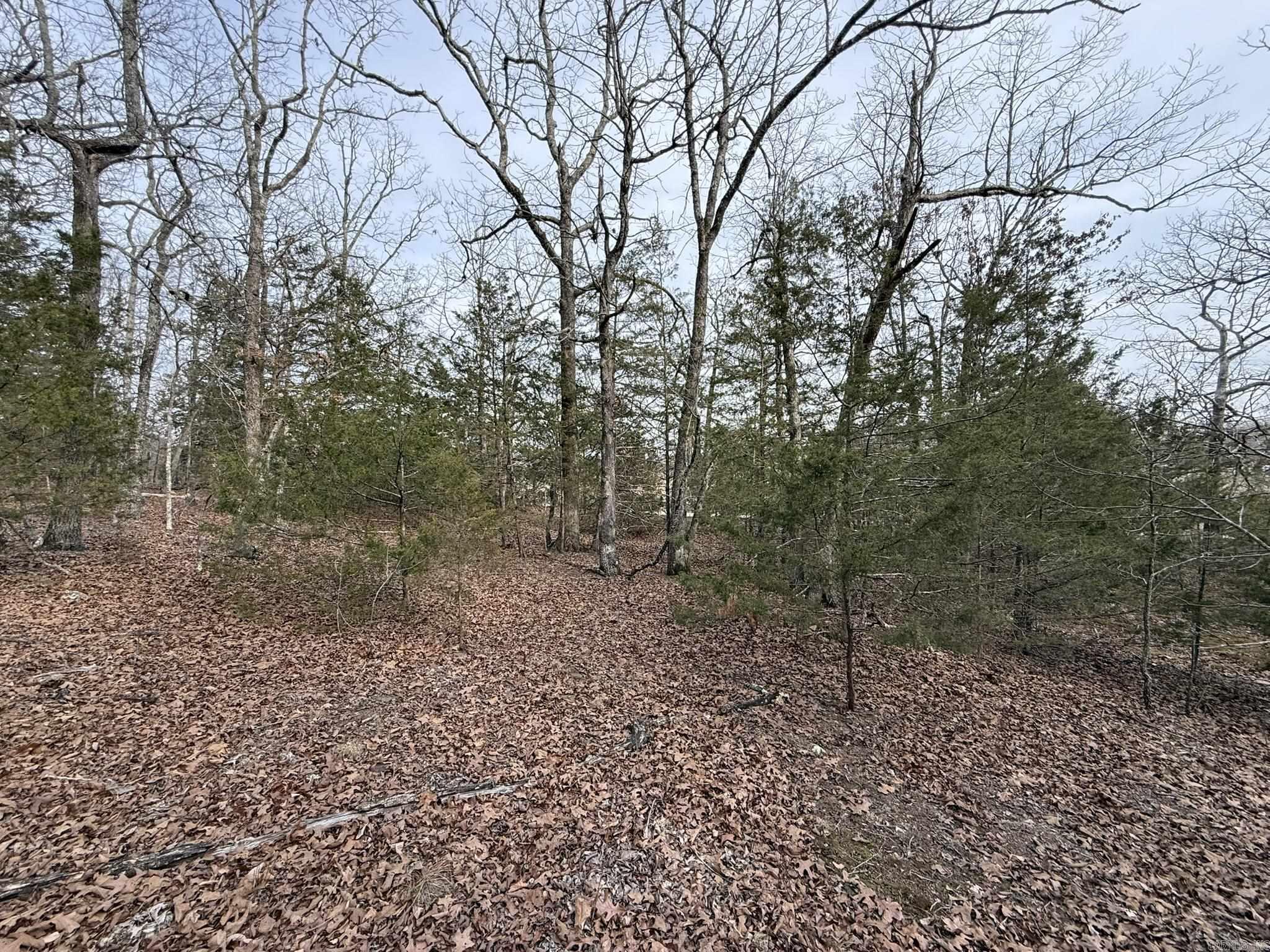 2495 E 74 Highway Property Photo 21