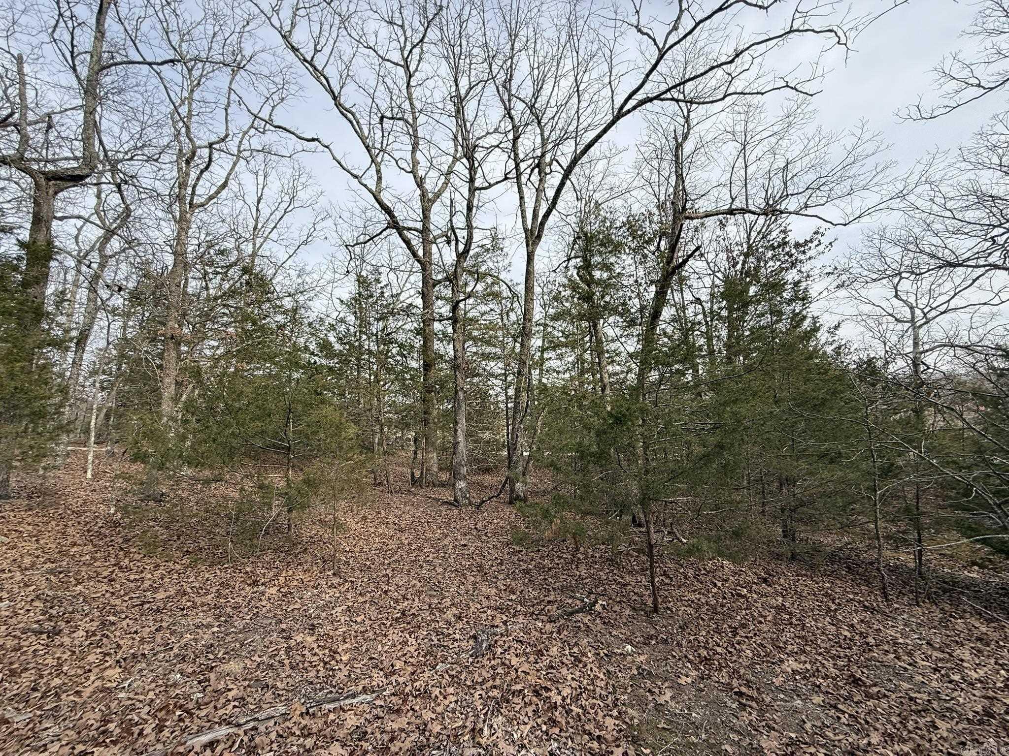 2495 E 74 Highway Property Photo 22