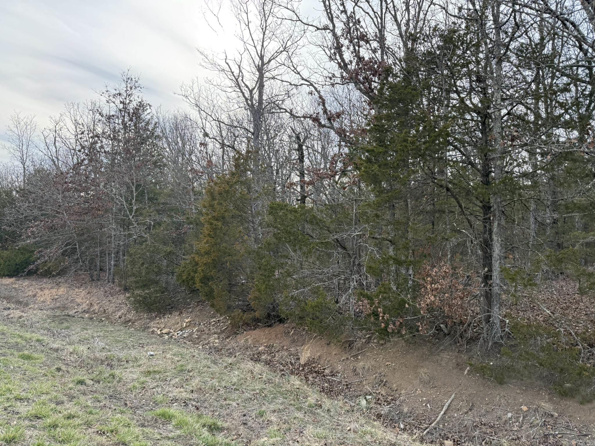 2495 E 74 Highway Property Photo 25