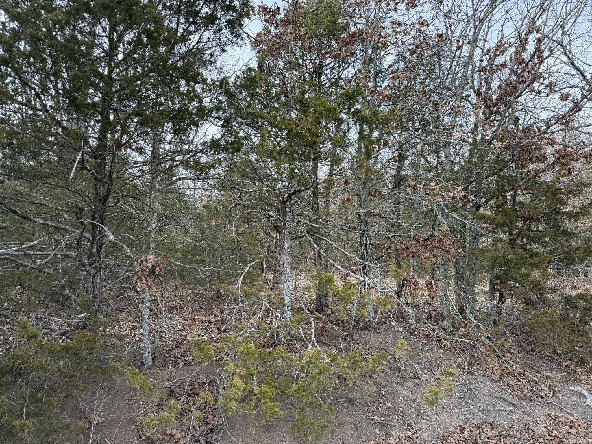 2495 E 74 Highway Property Photo 26