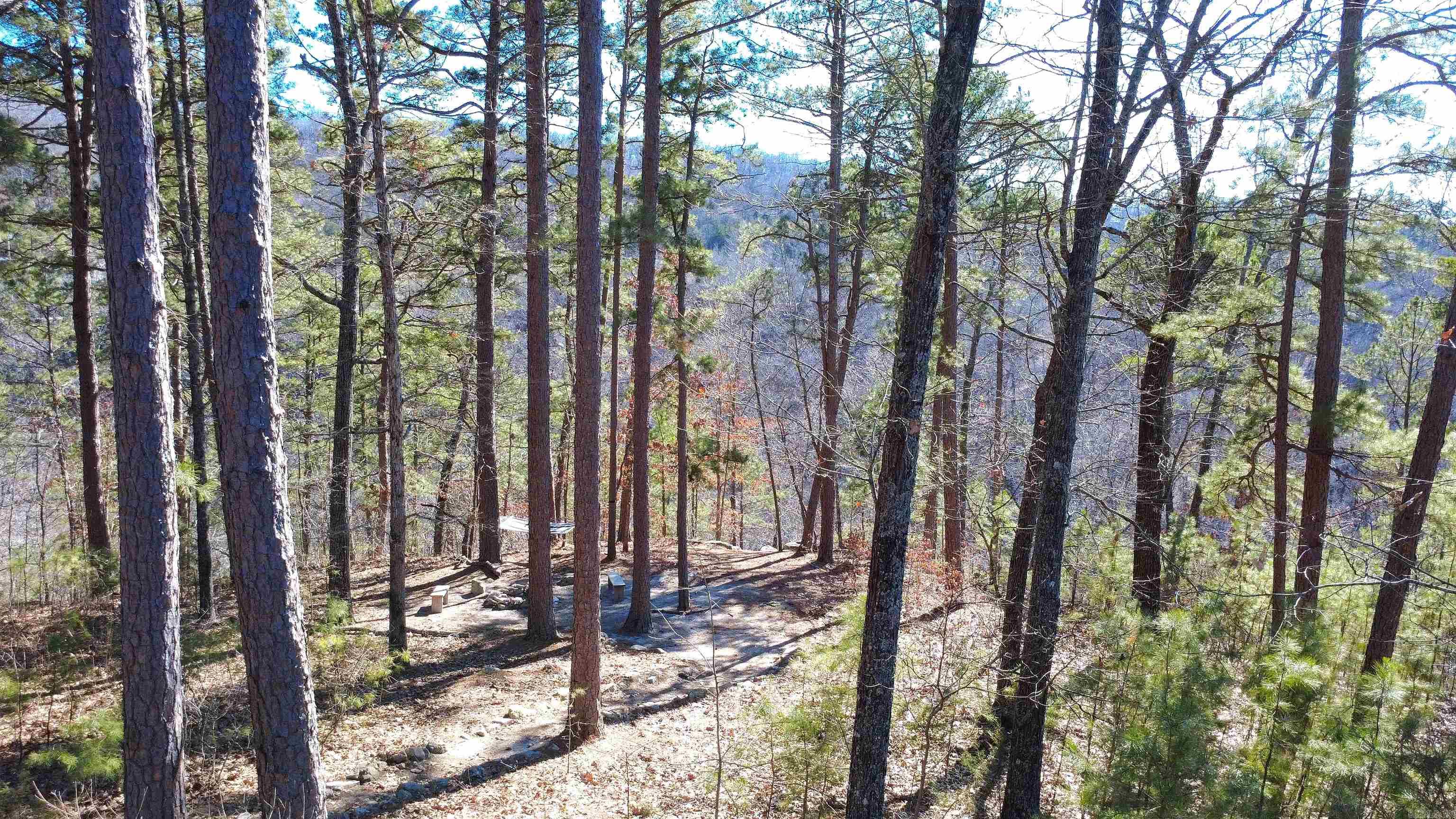 26007516 Property Photo 9