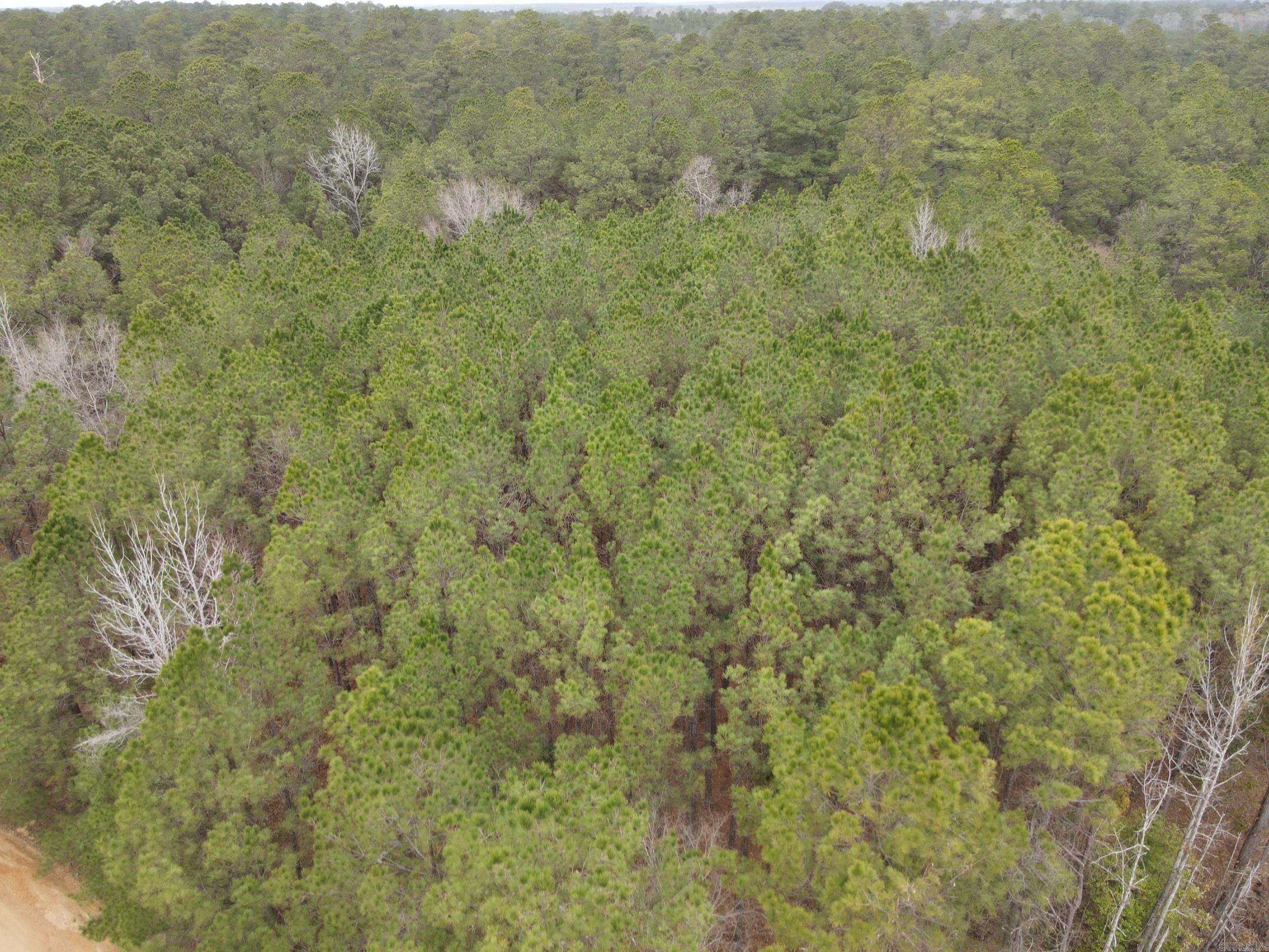 000 Hwy 160 Property Photo 4