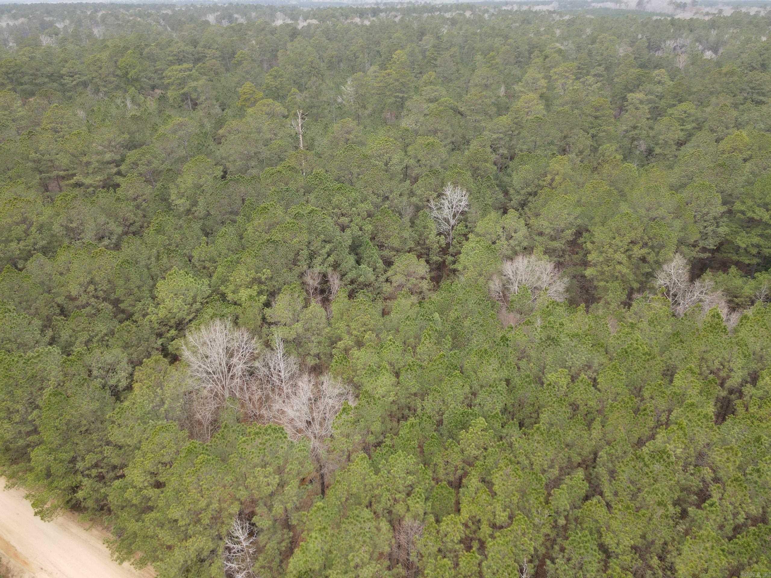 000 Hwy 160 Property Photo 7