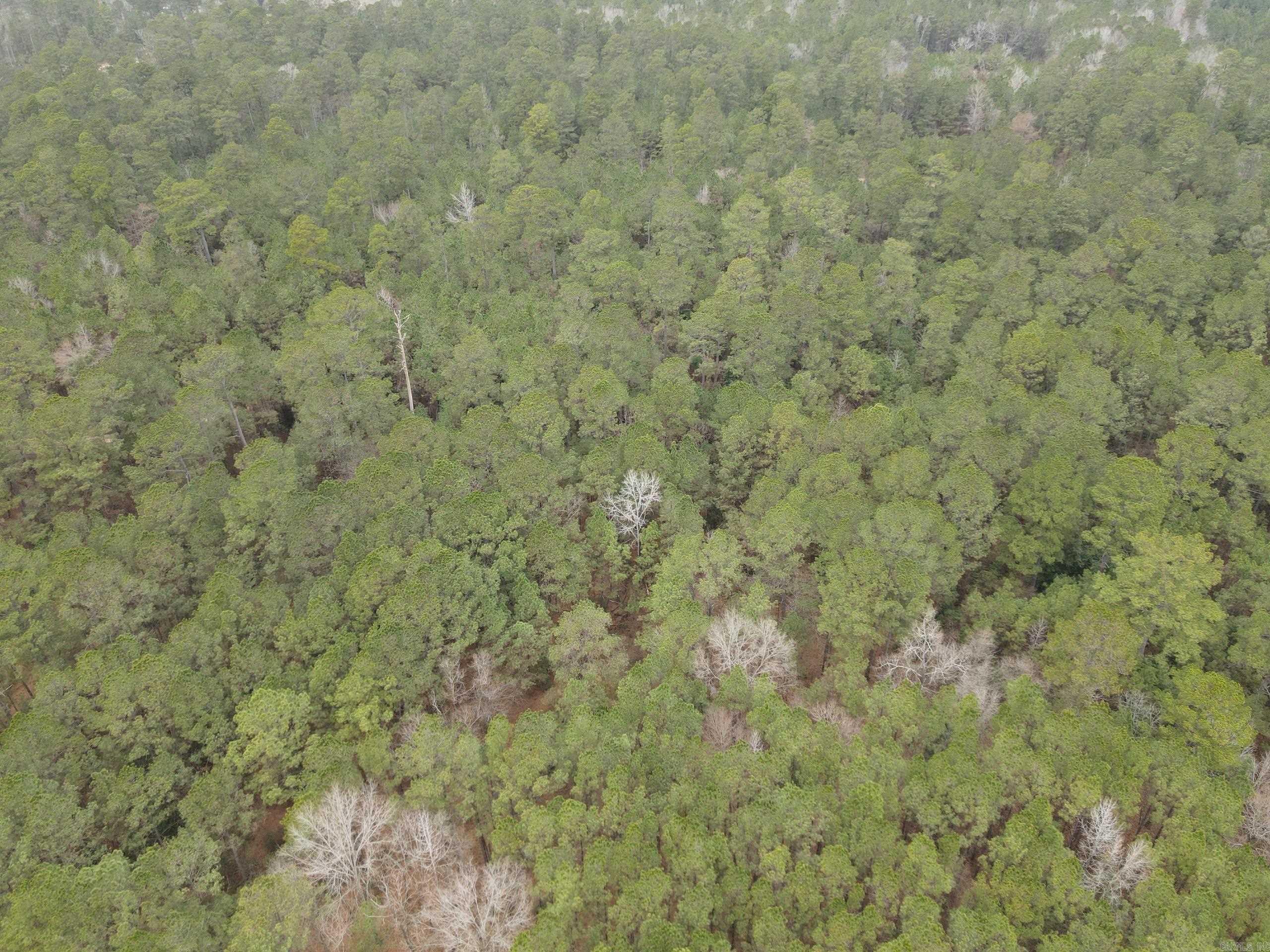 000 Hwy 160 Property Photo 8
