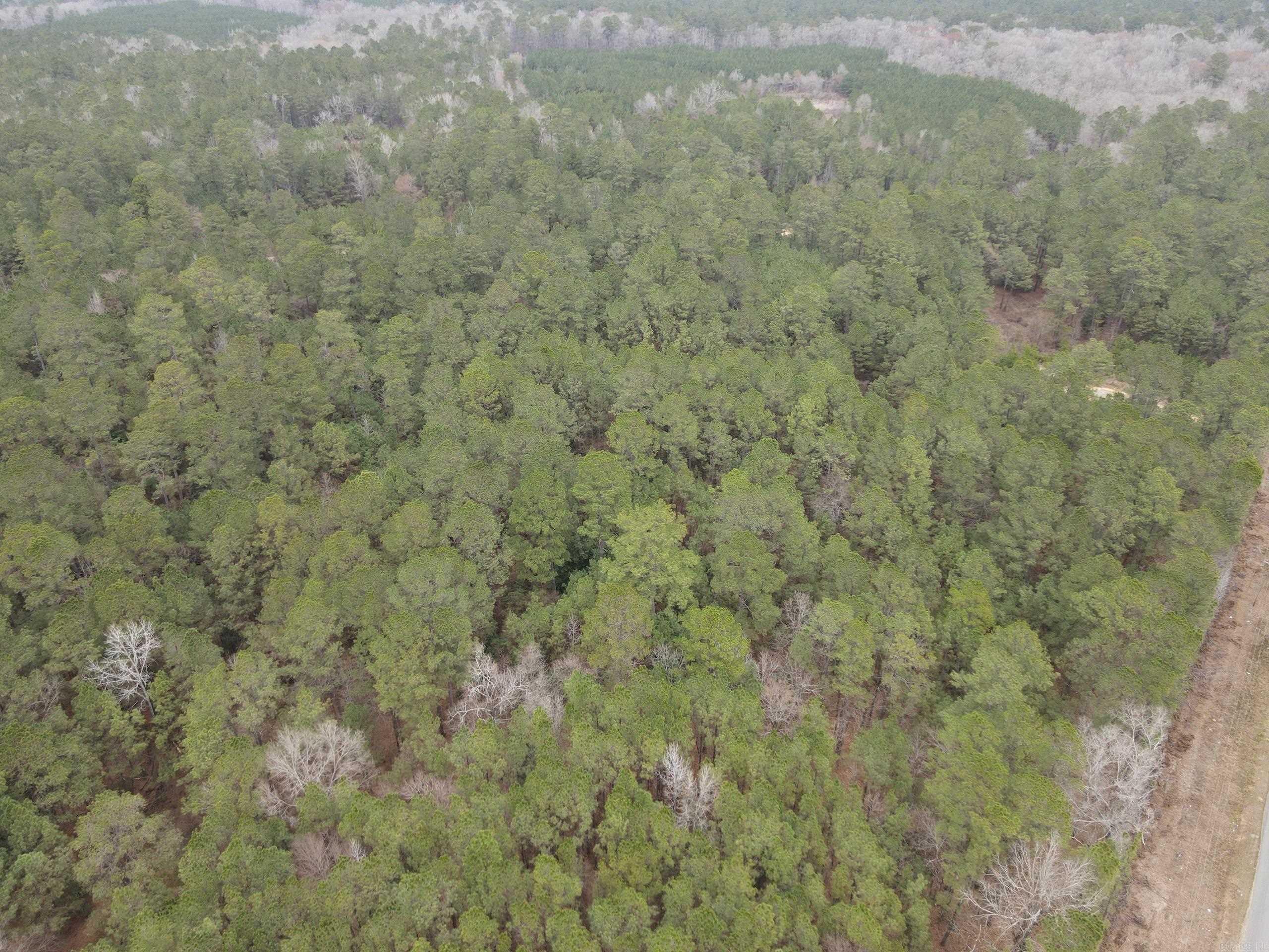 000 Hwy 160 Property Photo 9