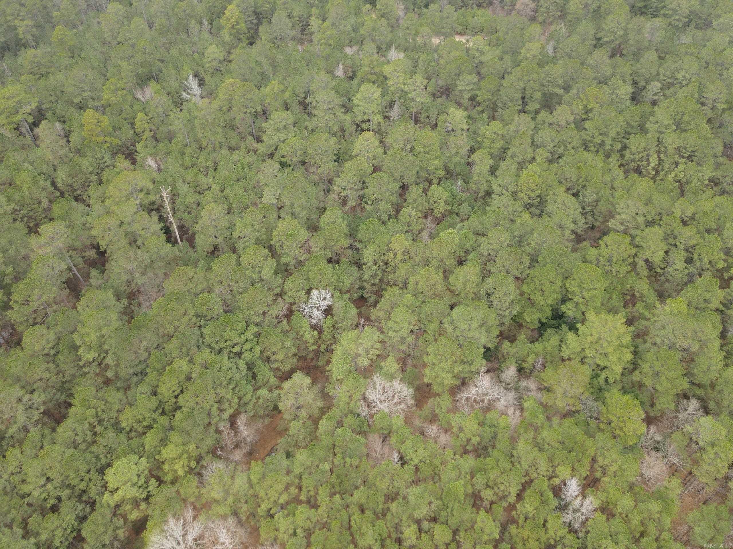 000 Hwy 160 Property Photo 10