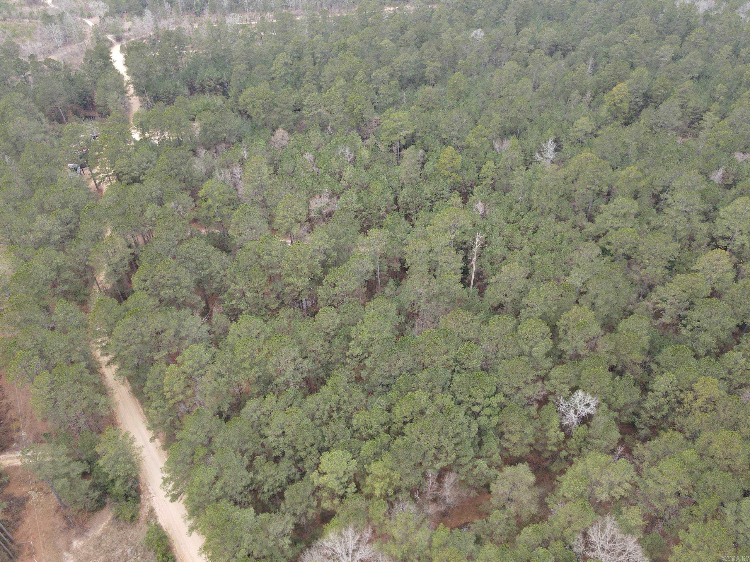 000 Hwy 160 Property Photo 11