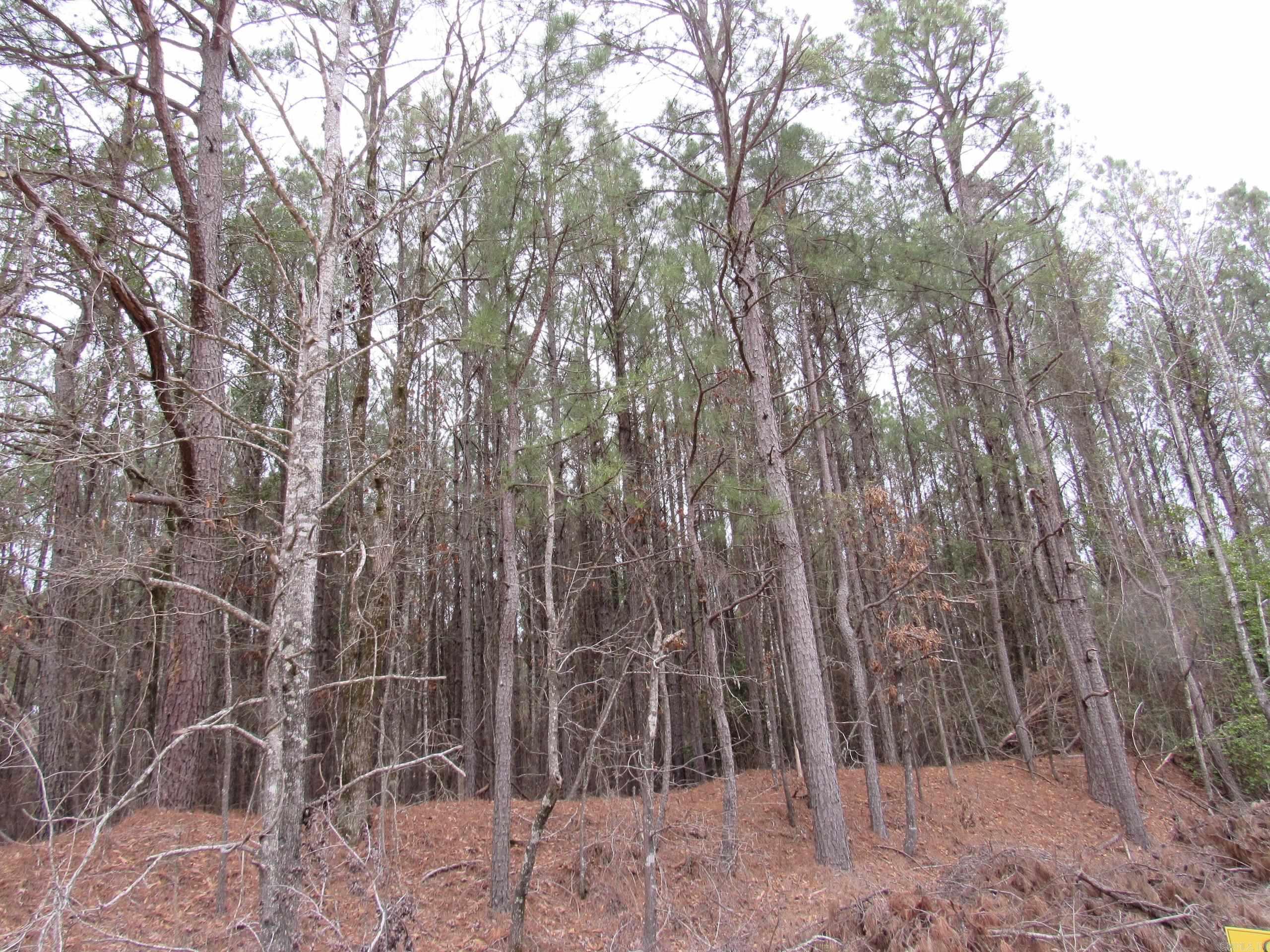 000 Hwy 160 Property Photo 13