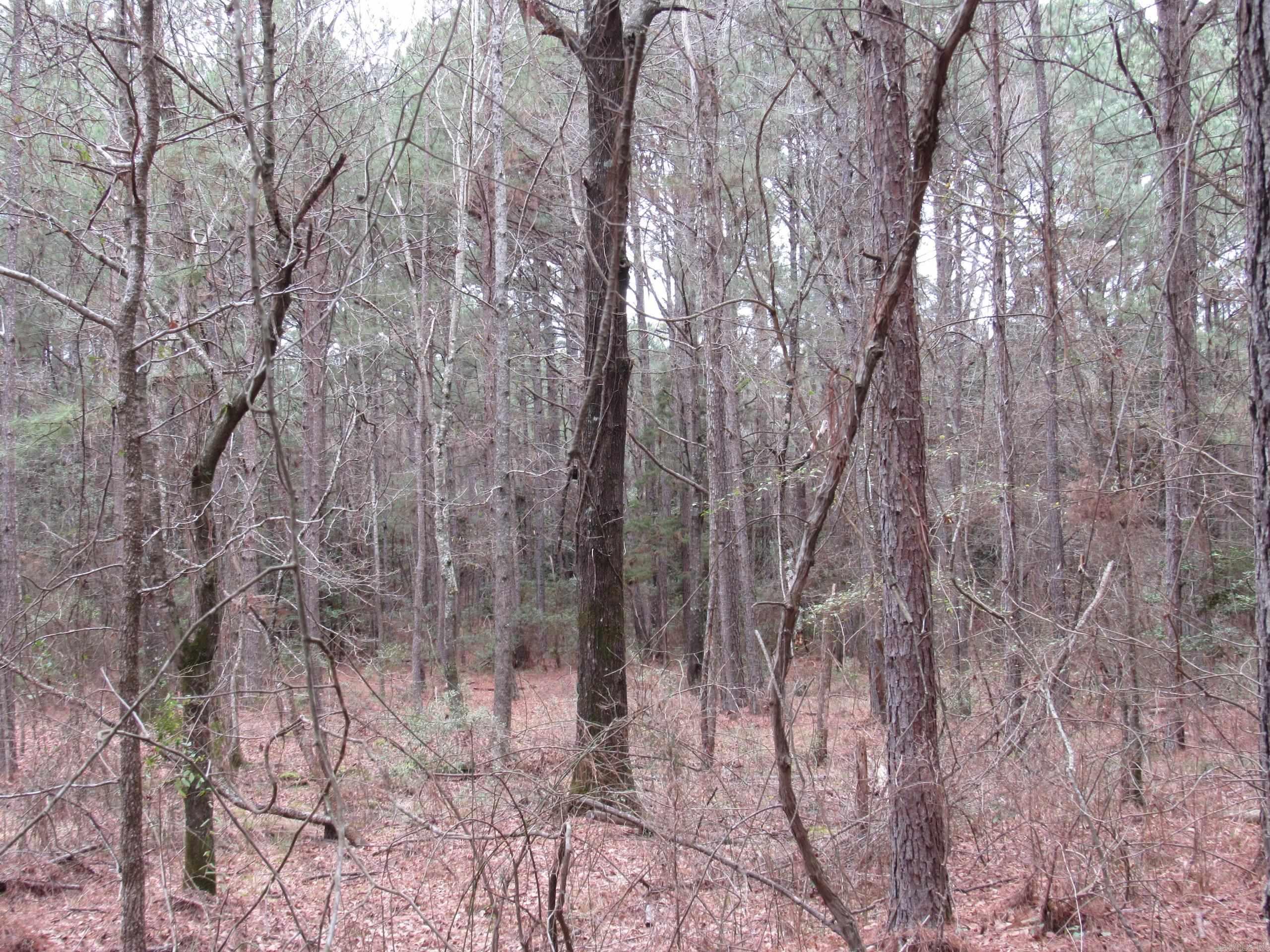 000 Hwy 160 Property Photo 18