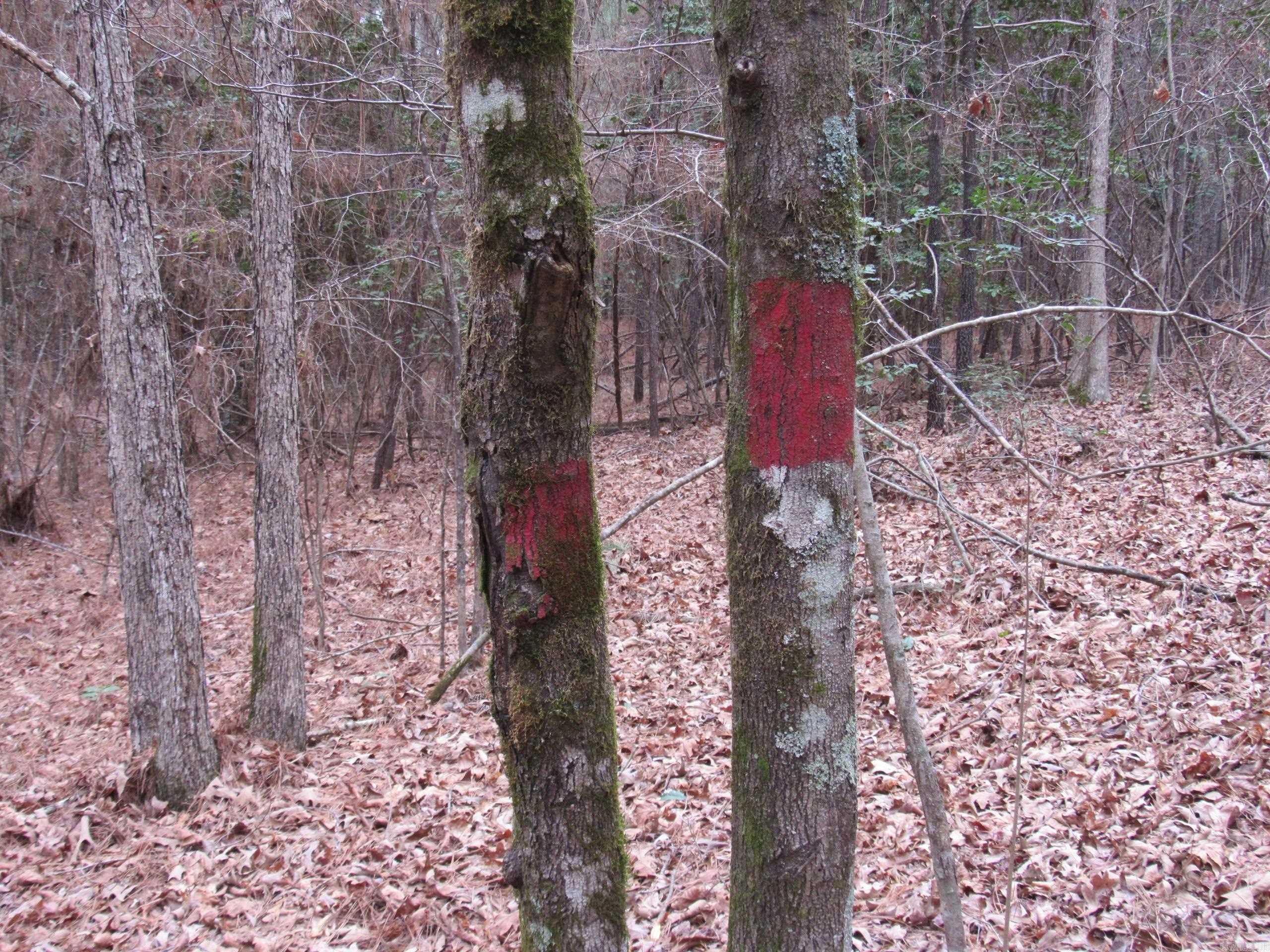 000 Hwy 160 Property Photo 25