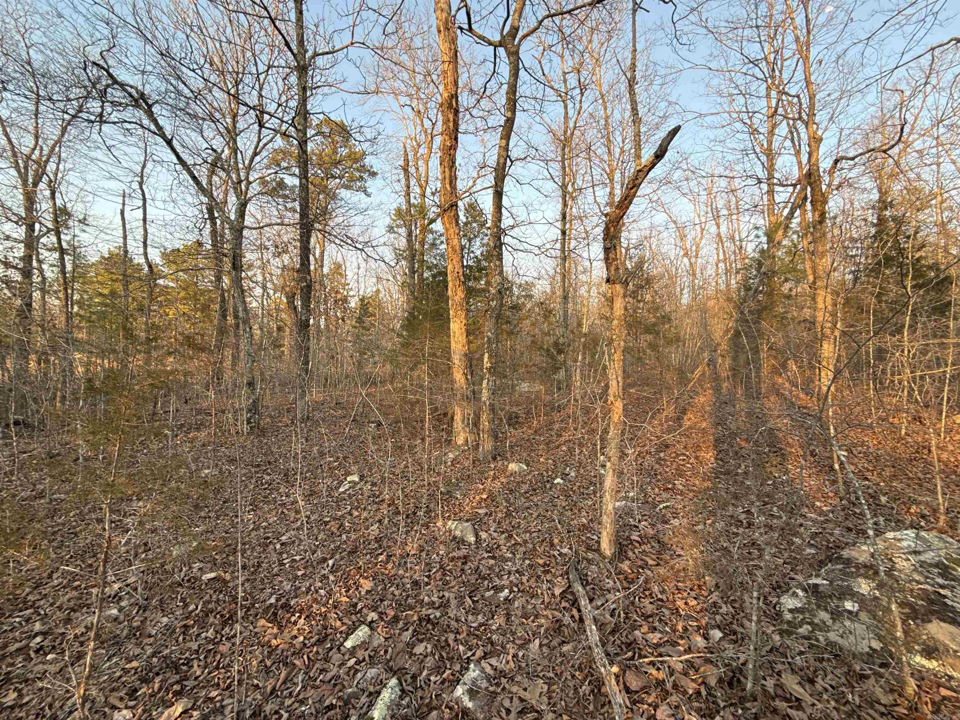 00 Daniel Hill Road Property Photo 10