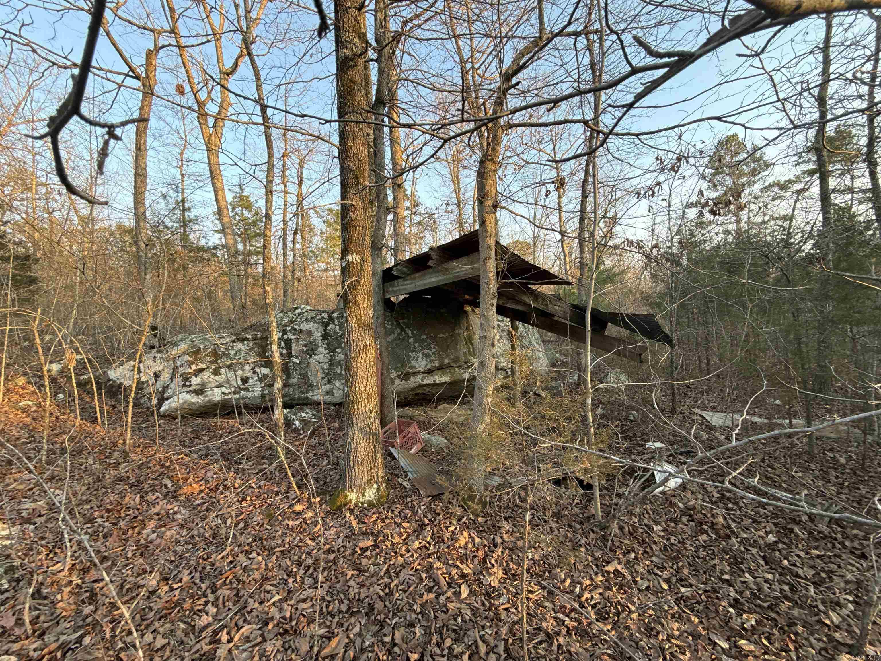 00 Daniel Hill Road Property Photo 17