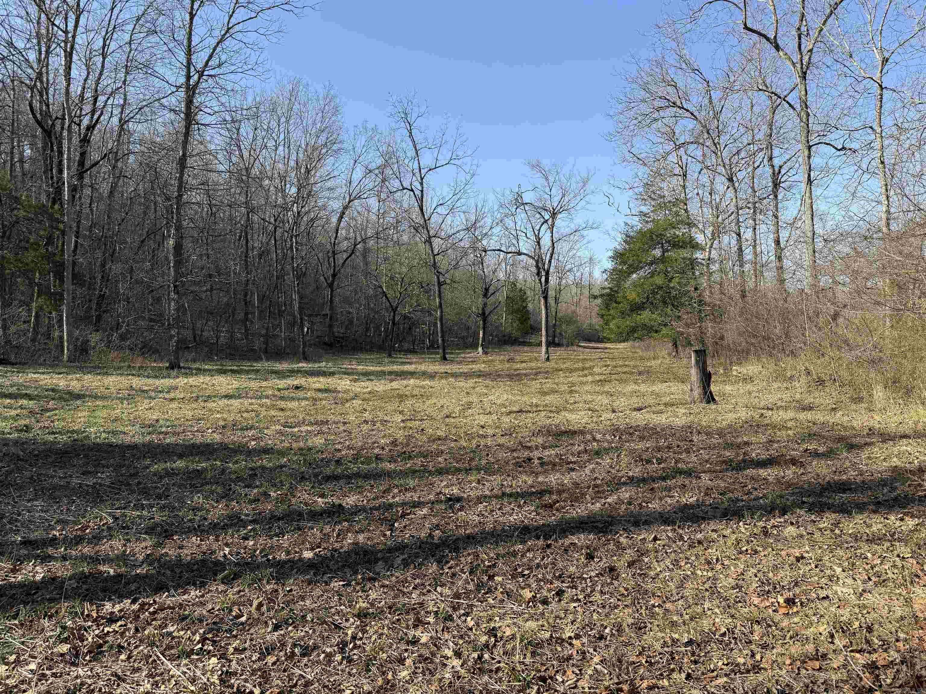 000 Daniel Hill Road Property Photo 11