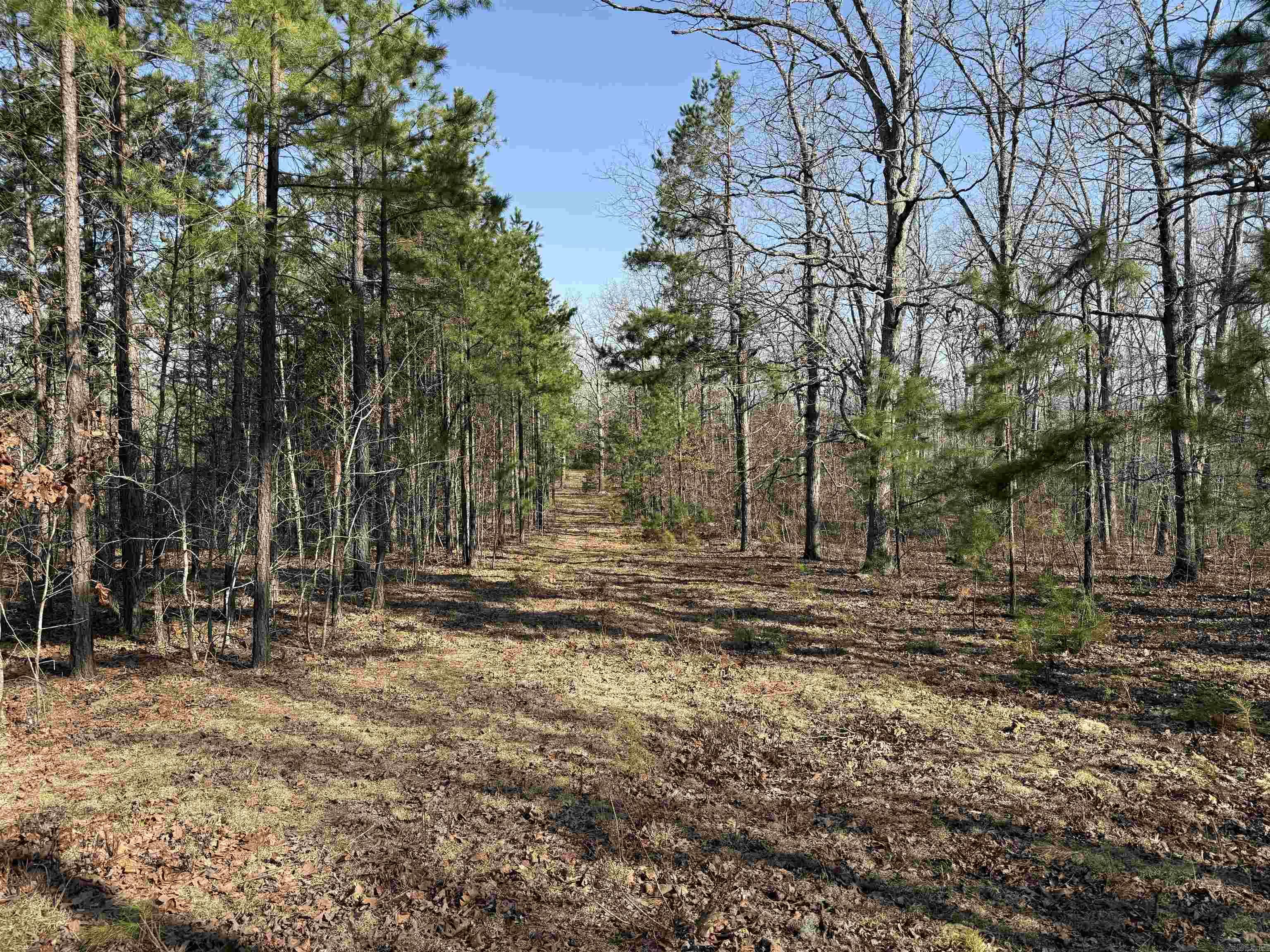 000 Daniel Hill Road Property Photo 12