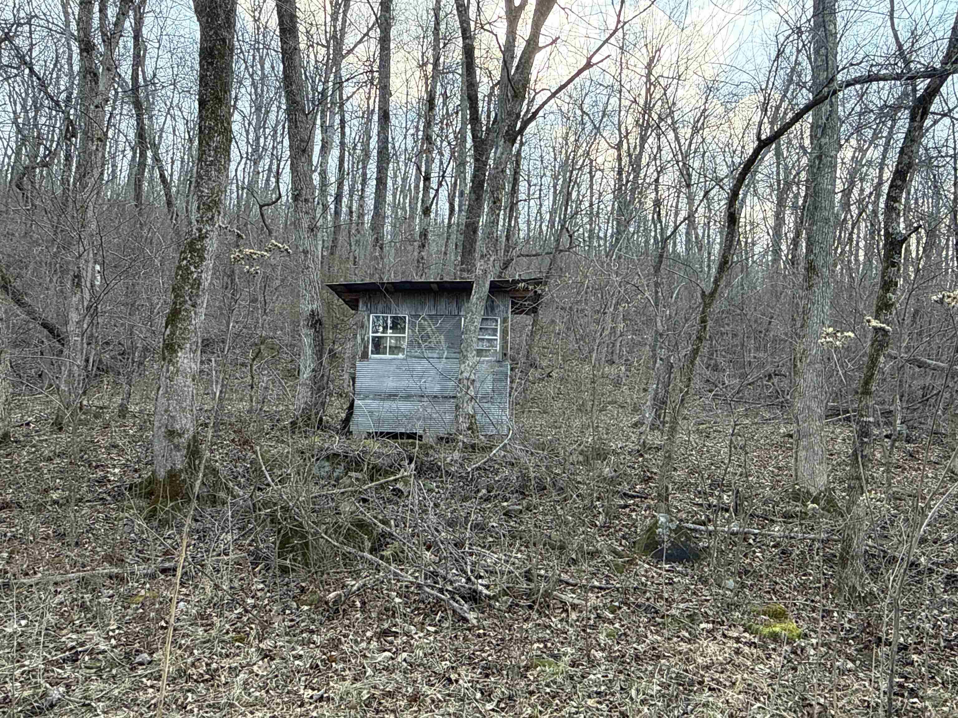 000 Daniel Hill Road Property Photo 14