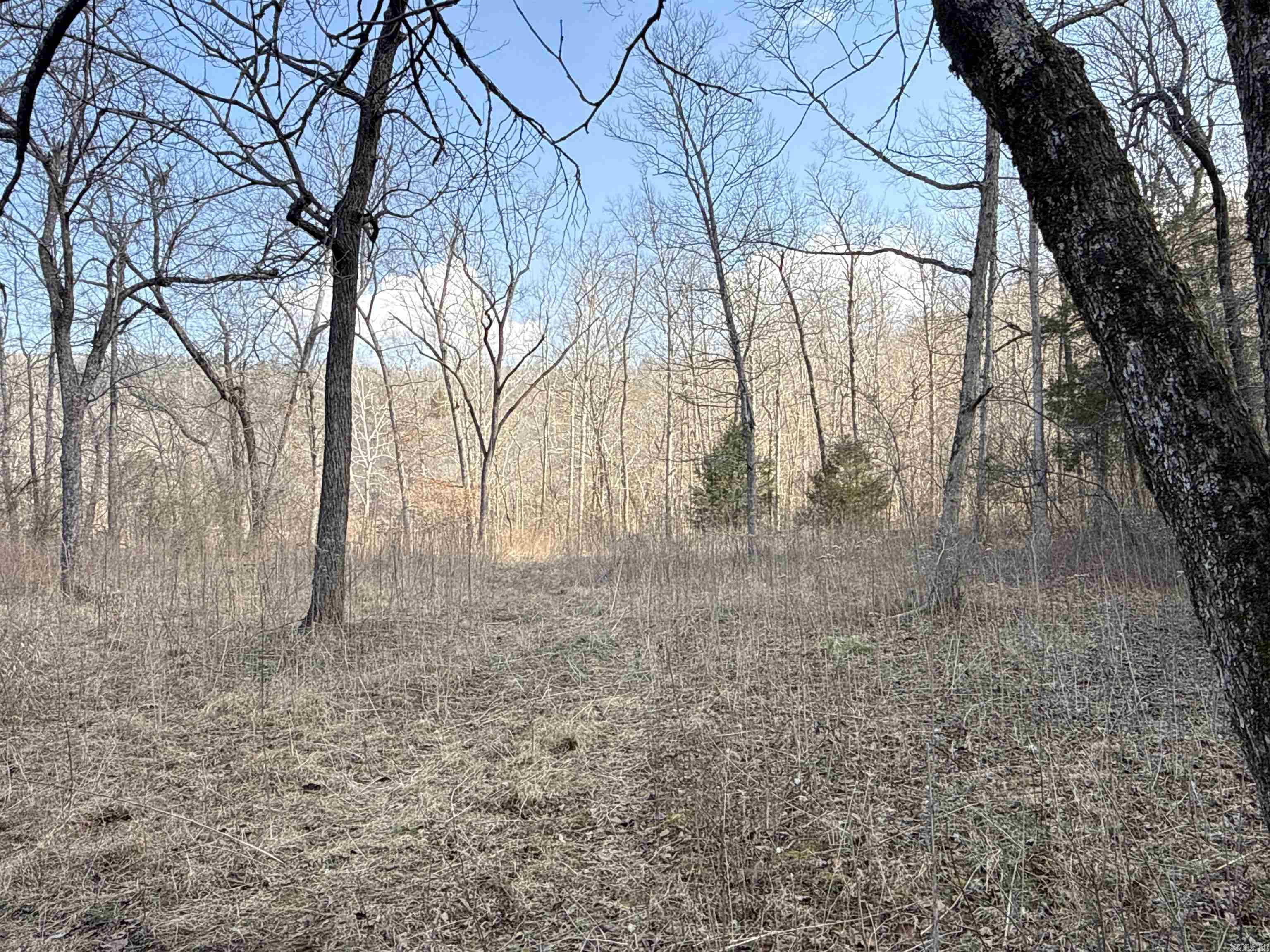 000 Daniel Hill Road Property Photo 15