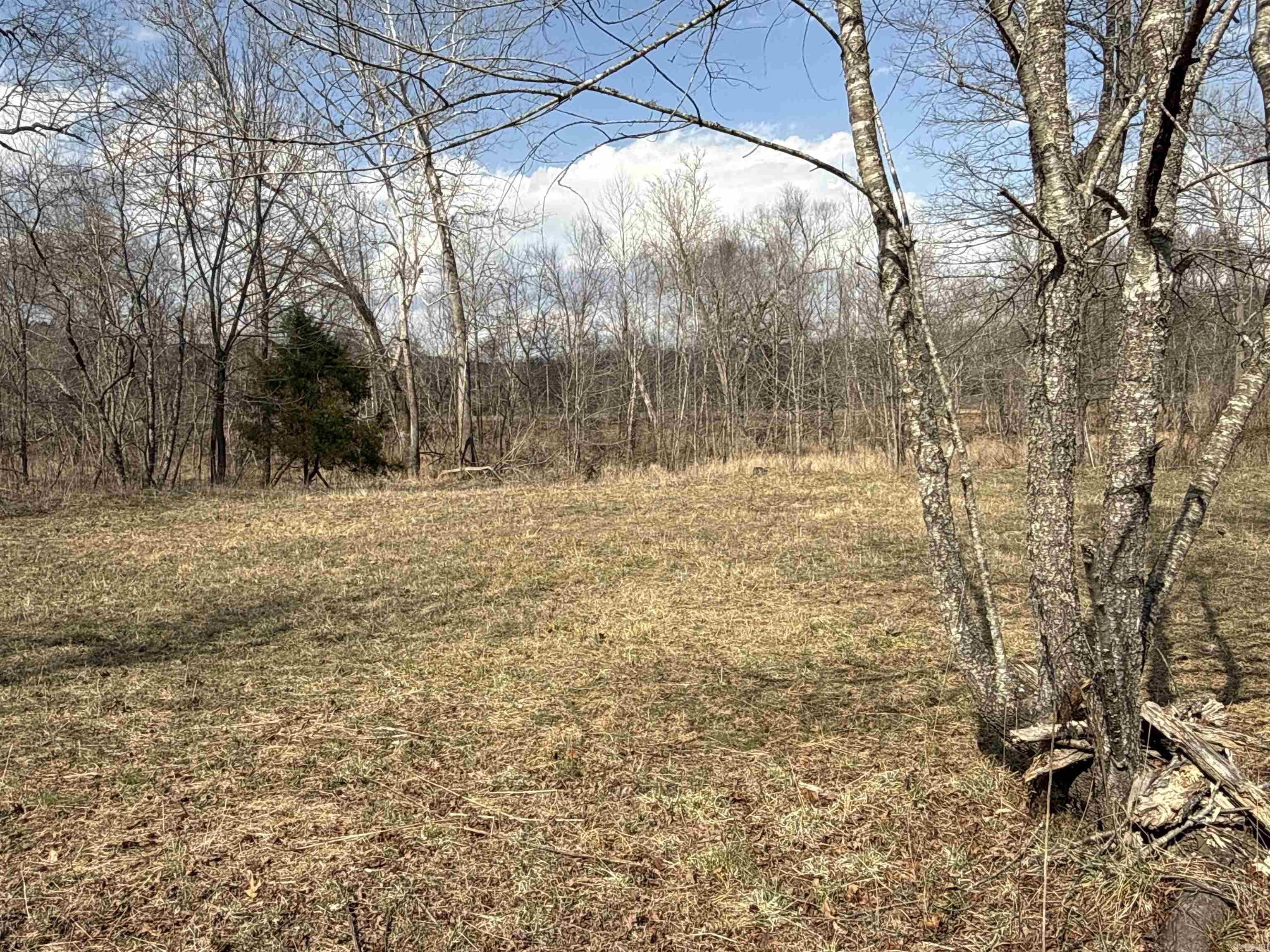 000 Daniel Hill Road Property Photo 34