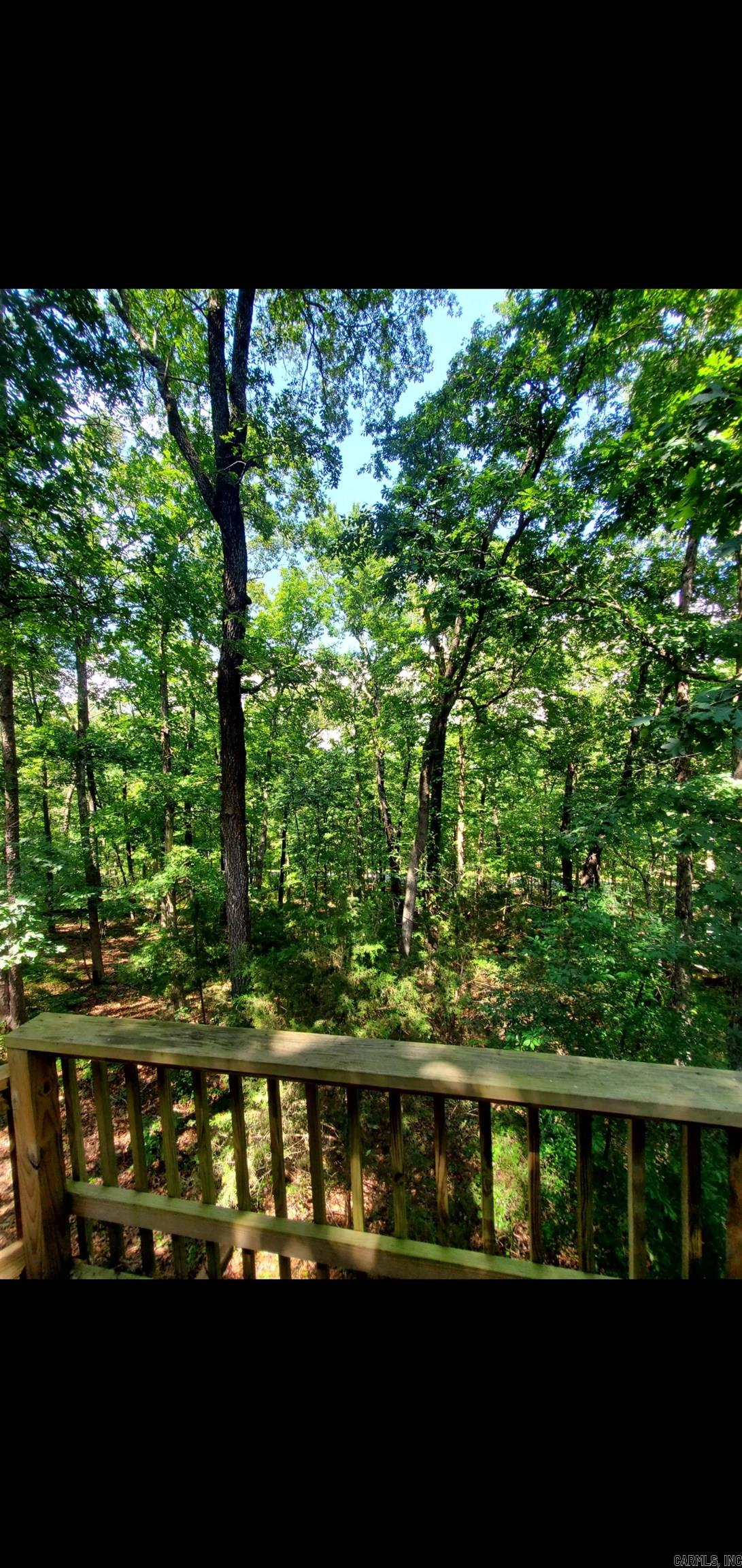 113 Sky King Drive Property Photo 5