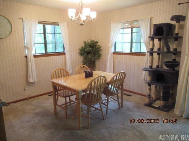 113 Sky King Drive Property Photo 10