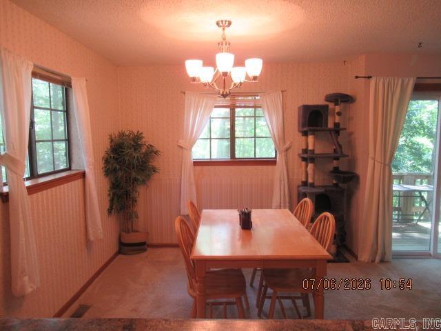 113 Sky King Drive Property Photo 13