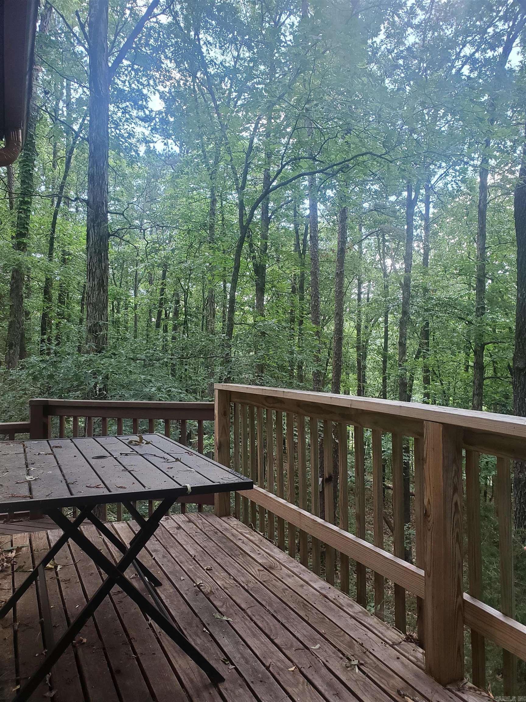 113 Sky King Drive Property Photo 28