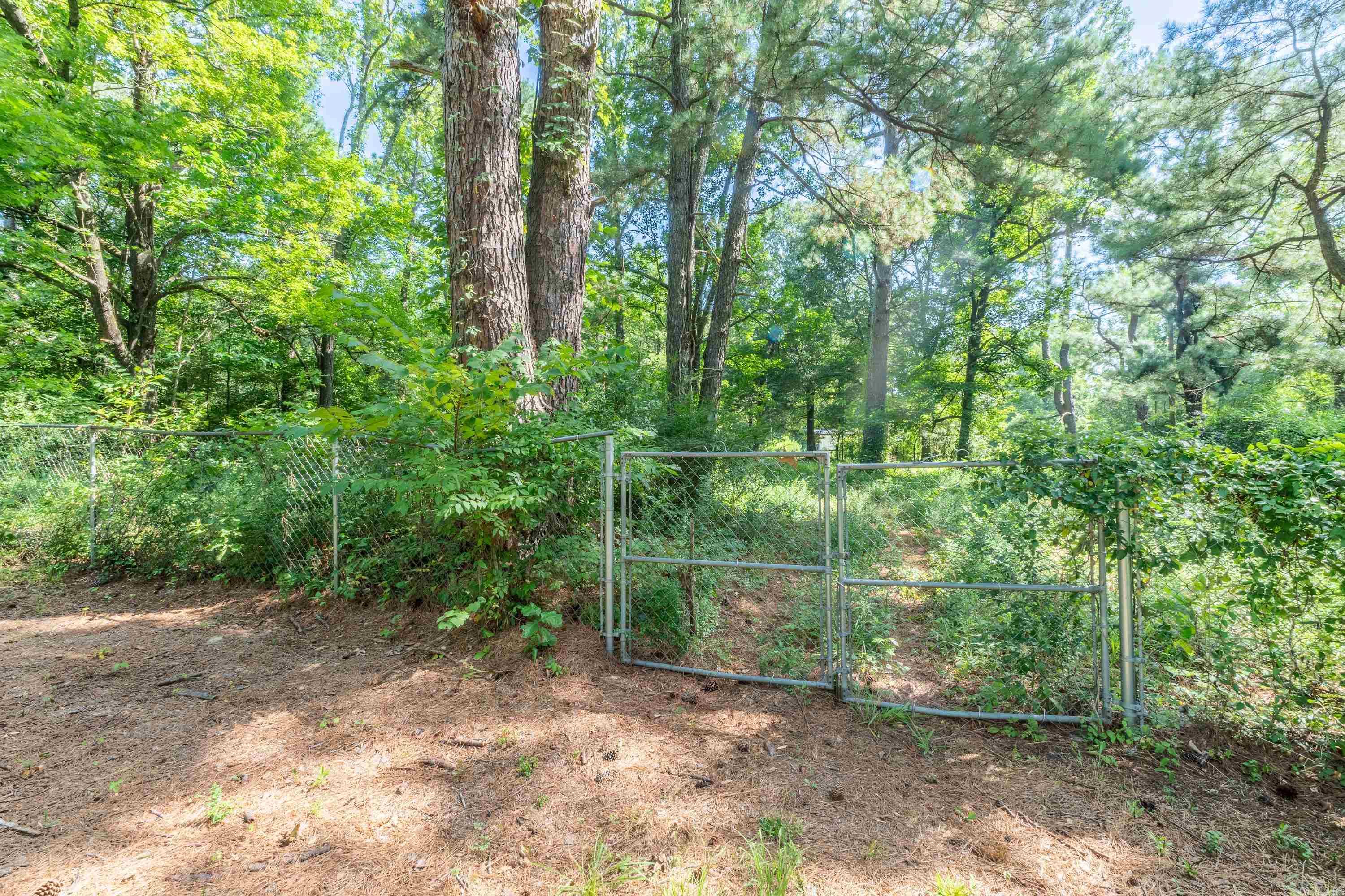 6019 Old Highway 67 Property Photo 16