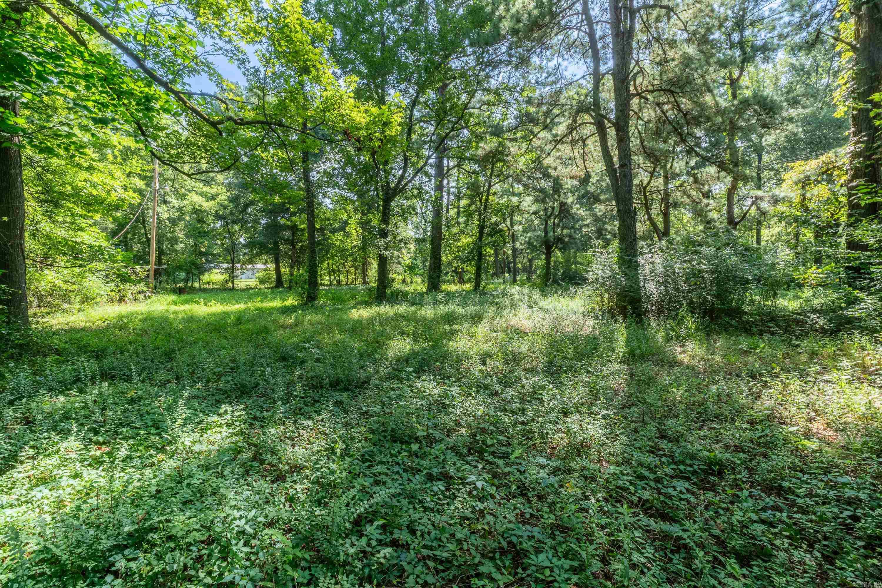 00 Old Highway 67 Property Photo 1