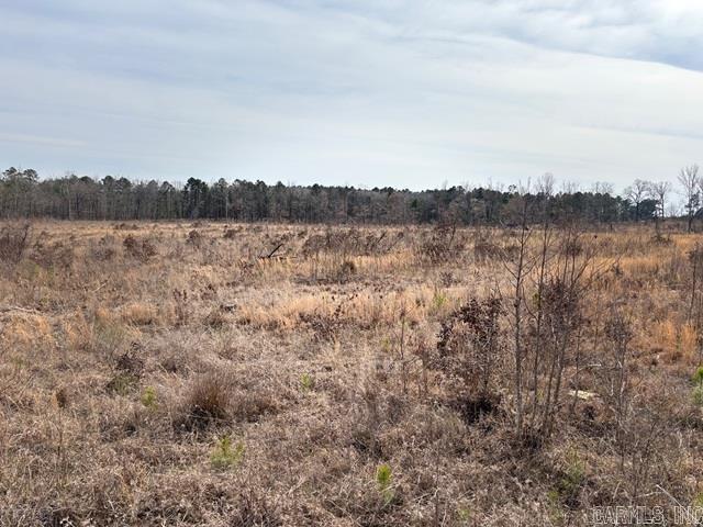 000 Red Springs Road Property Photo 3