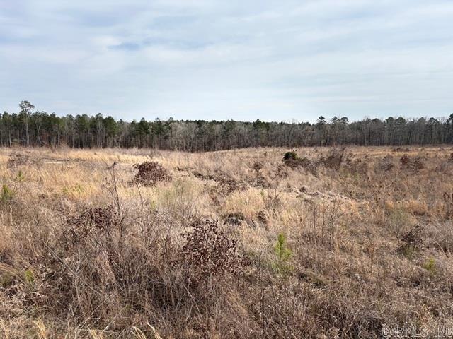 000 Red Springs Road Property Photo 5