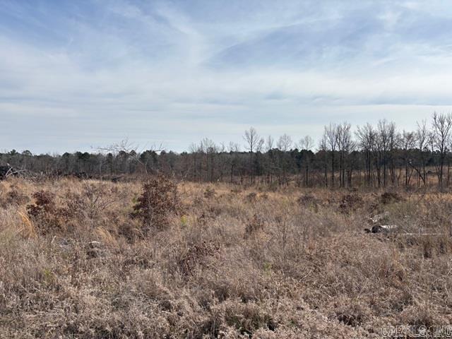 000 Red Springs Road Property Photo 6