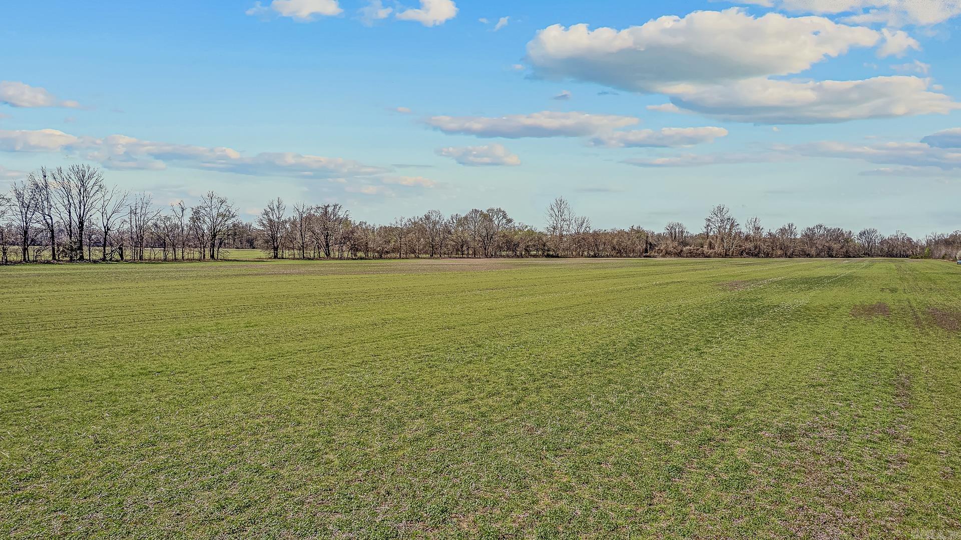 53.19 Acres Highway 412 Bypass Property Photo 3