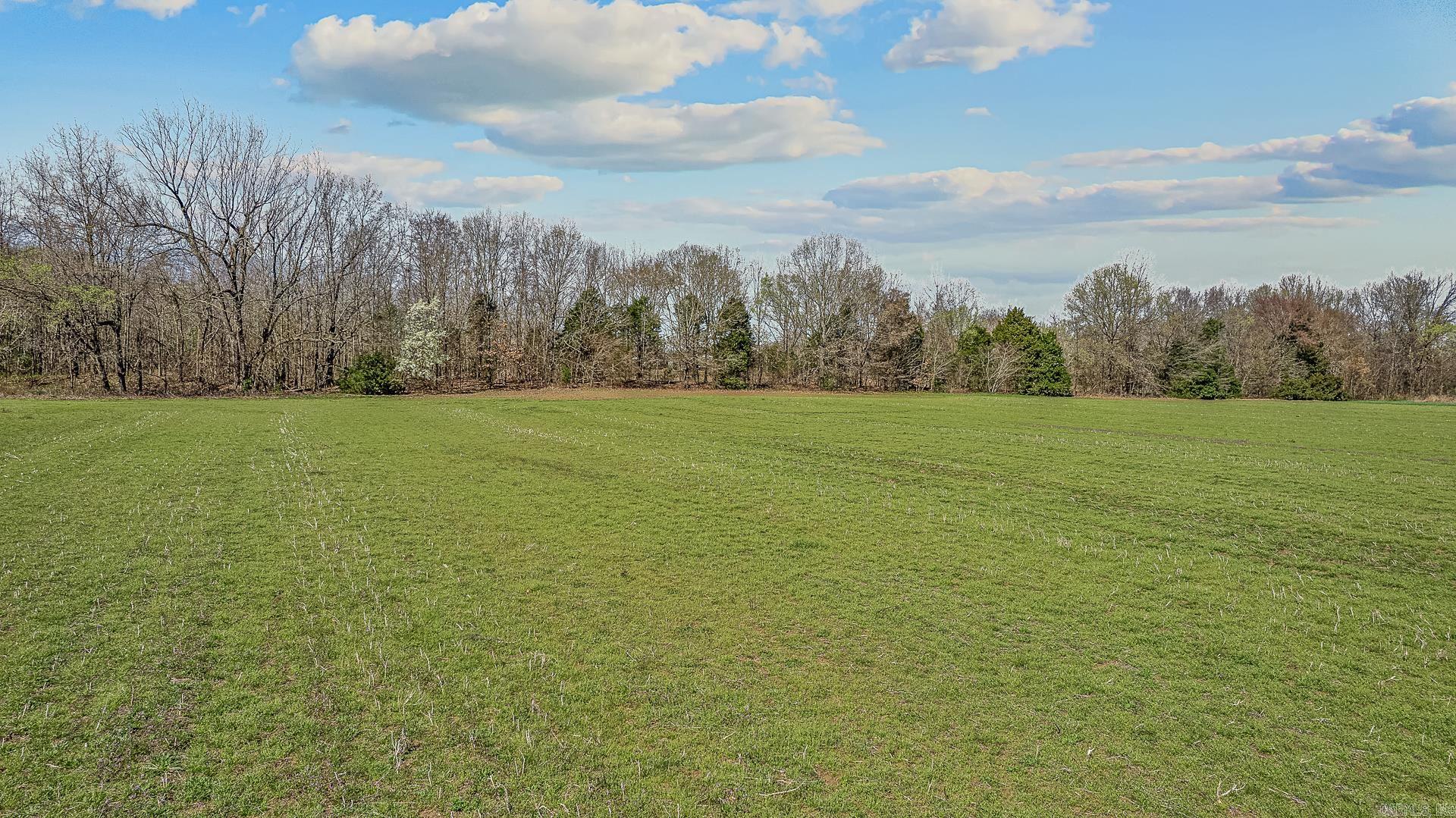 53.19 Acres Highway 412 Bypass Property Photo 7