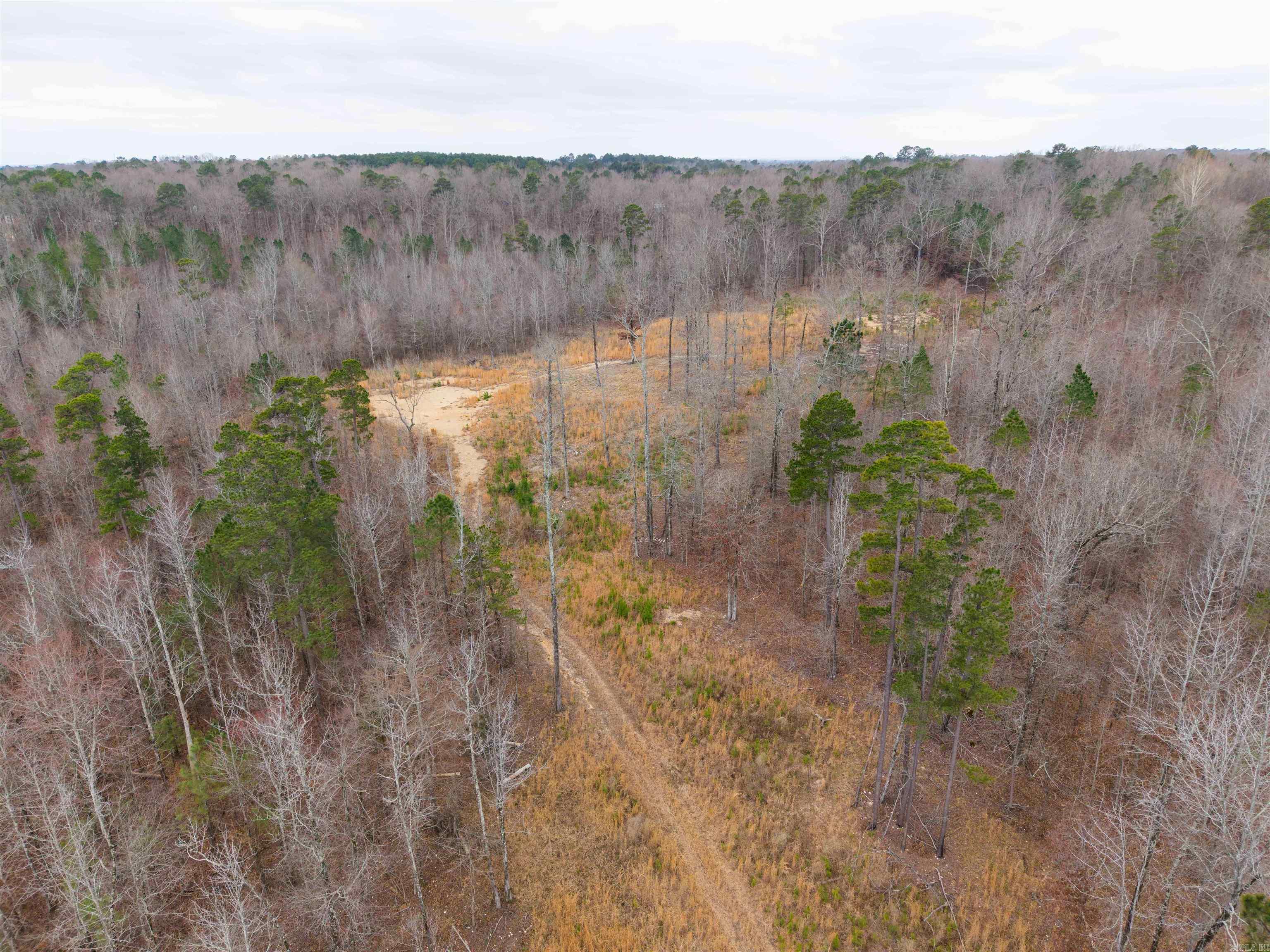 000 Reed Road Property Photo 3