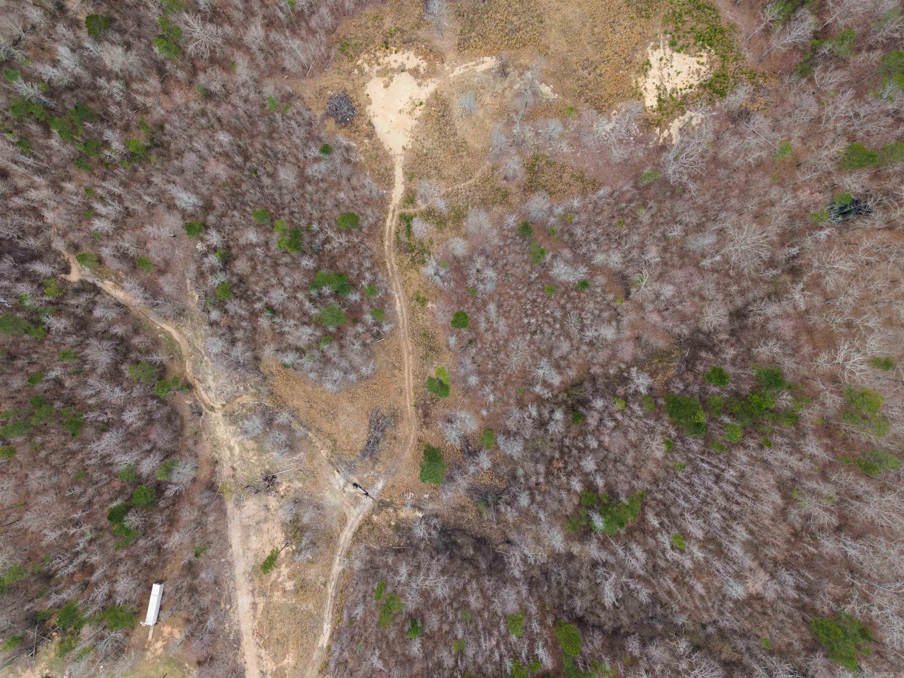 000 Reed Road Property Photo 6